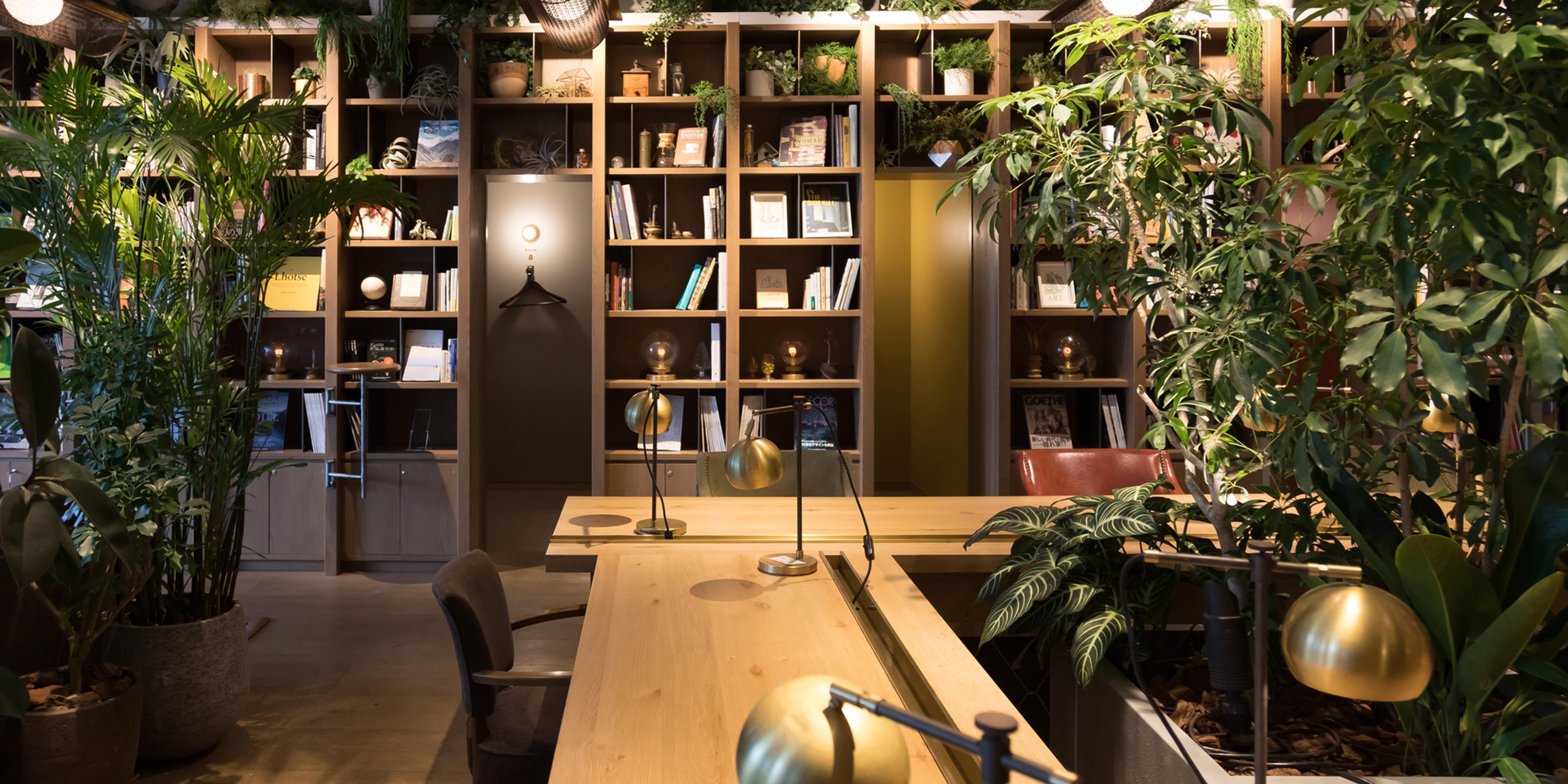 観葉植物 - 有限会社 エム・ツー・グリーン