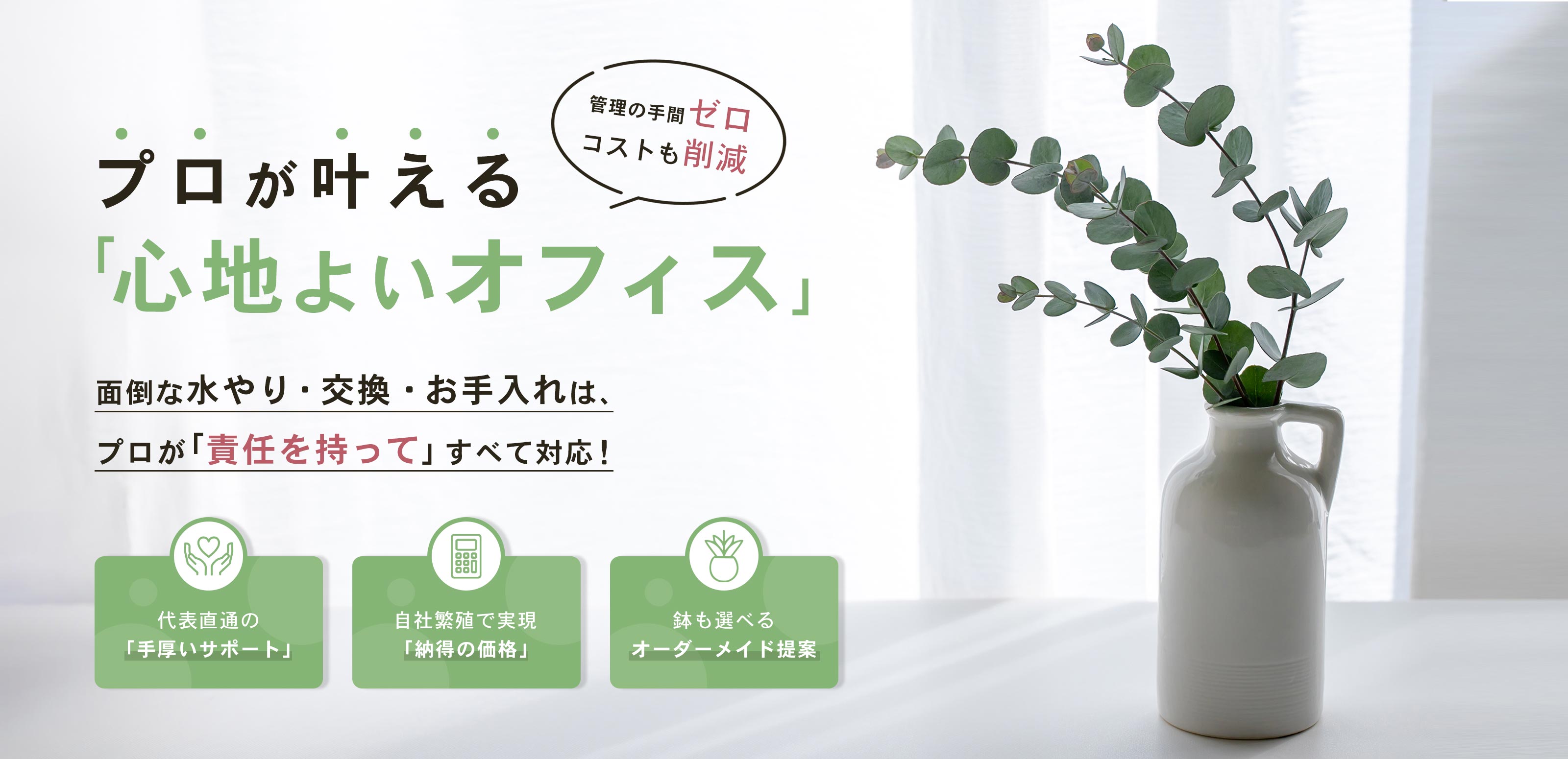 観葉植物 - 有限会社 エム・ツー・グリーン