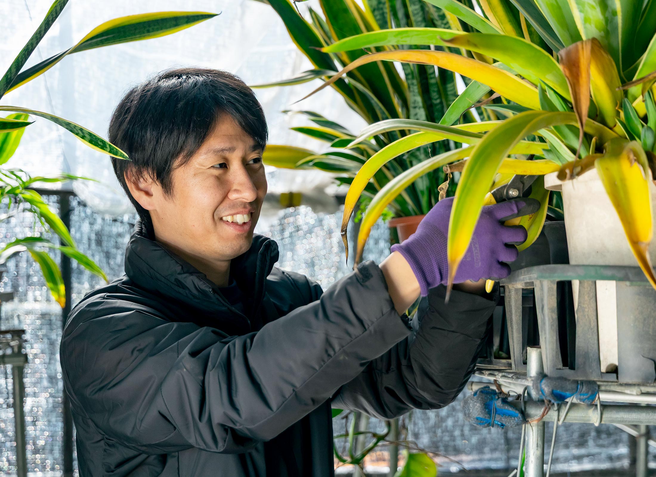 事業内容 - 有限会社 エム・ツー・グリーン