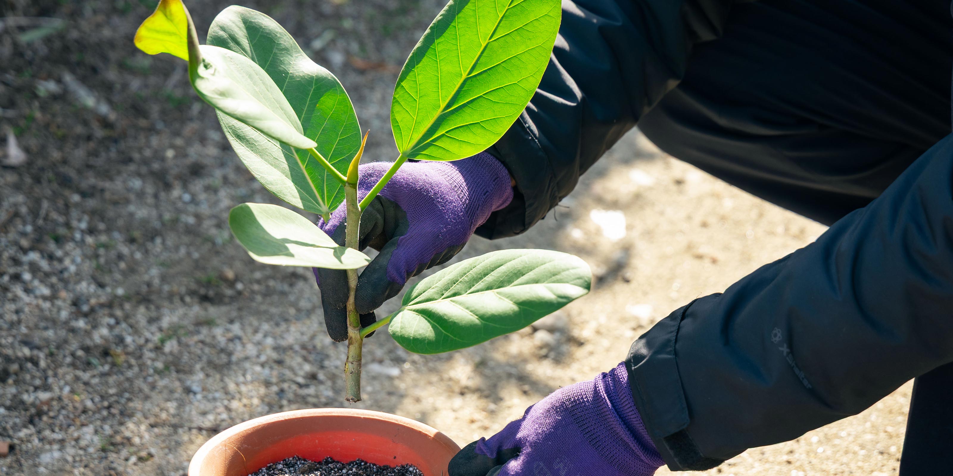 私たちの想い - 有限会社 エム・ツー・グリーン