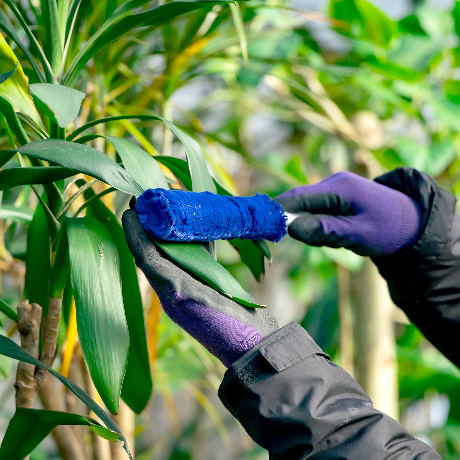 私たちの想い - 有限会社 エム・ツー・グリーン