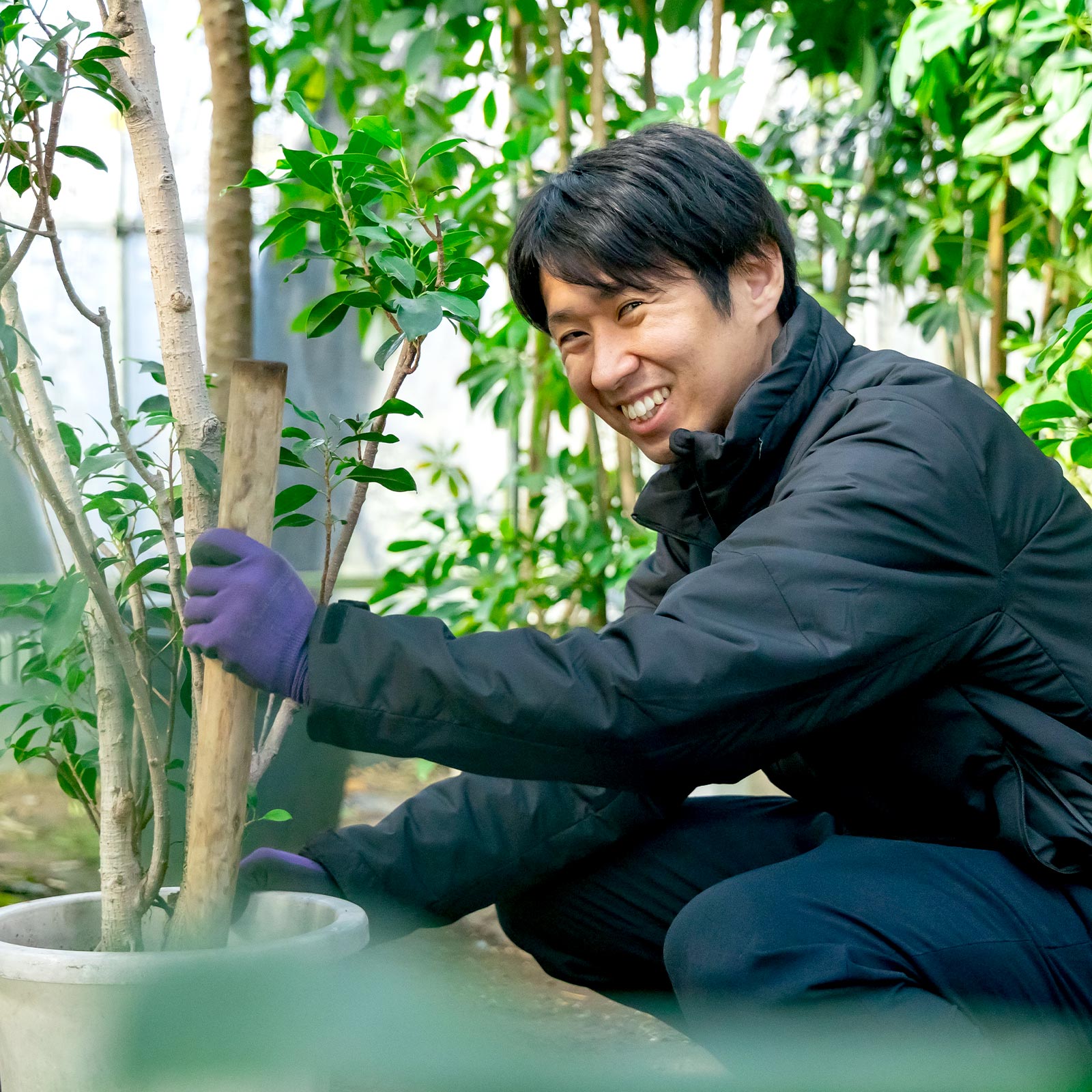 TOP - 有限会社 エム・ツー・グリーン