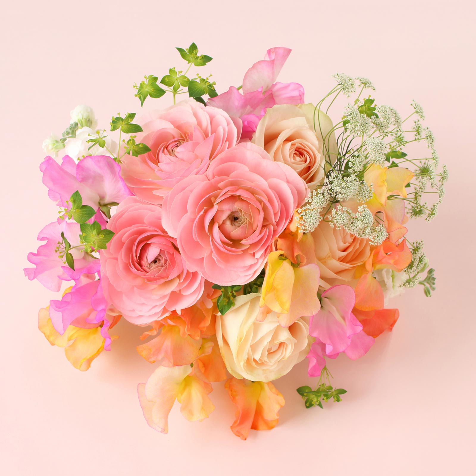 TOP - 有限会社 エム・ツー・グリーン