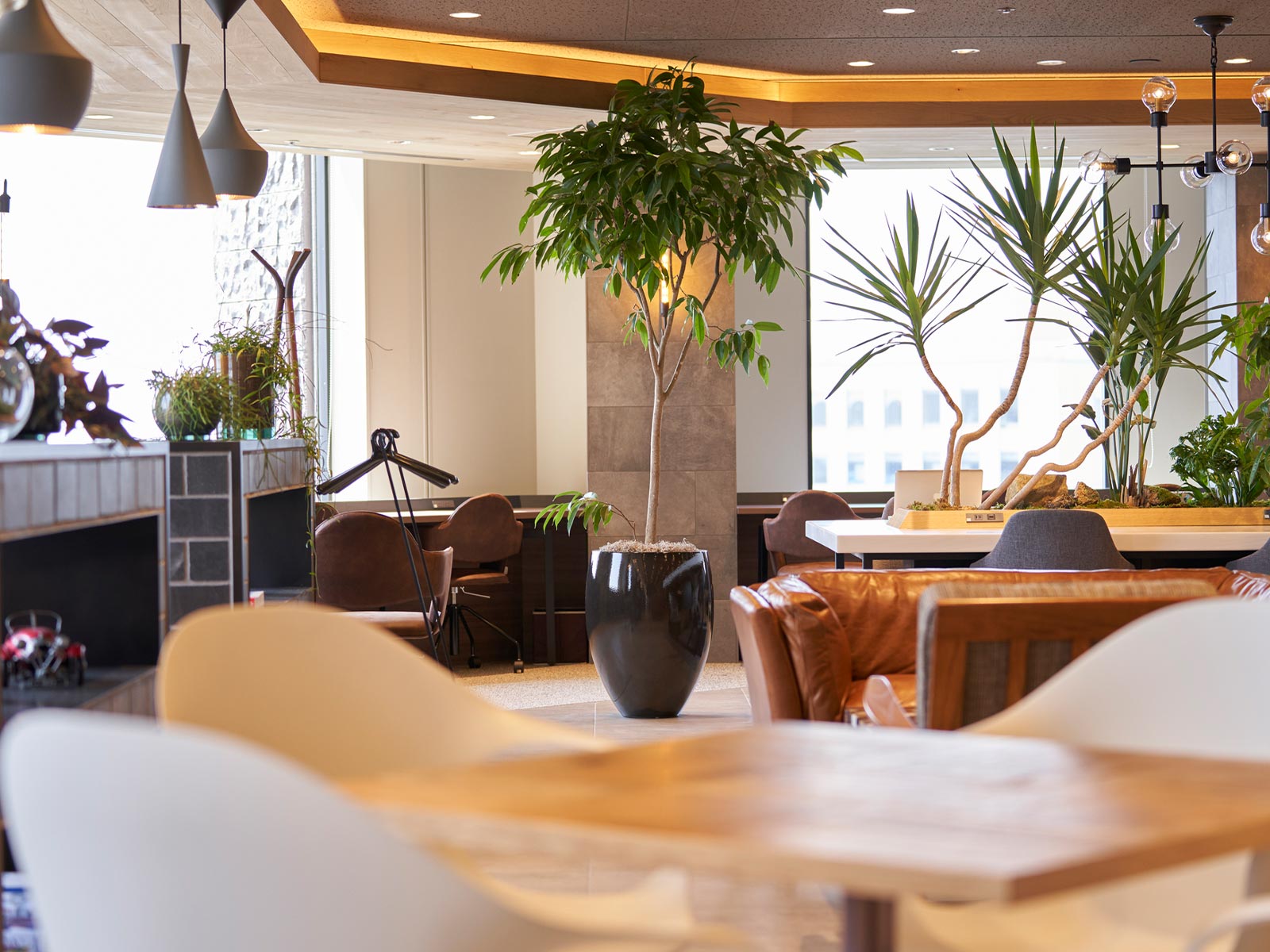 事業内容 - 有限会社 エム・ツー・グリーン