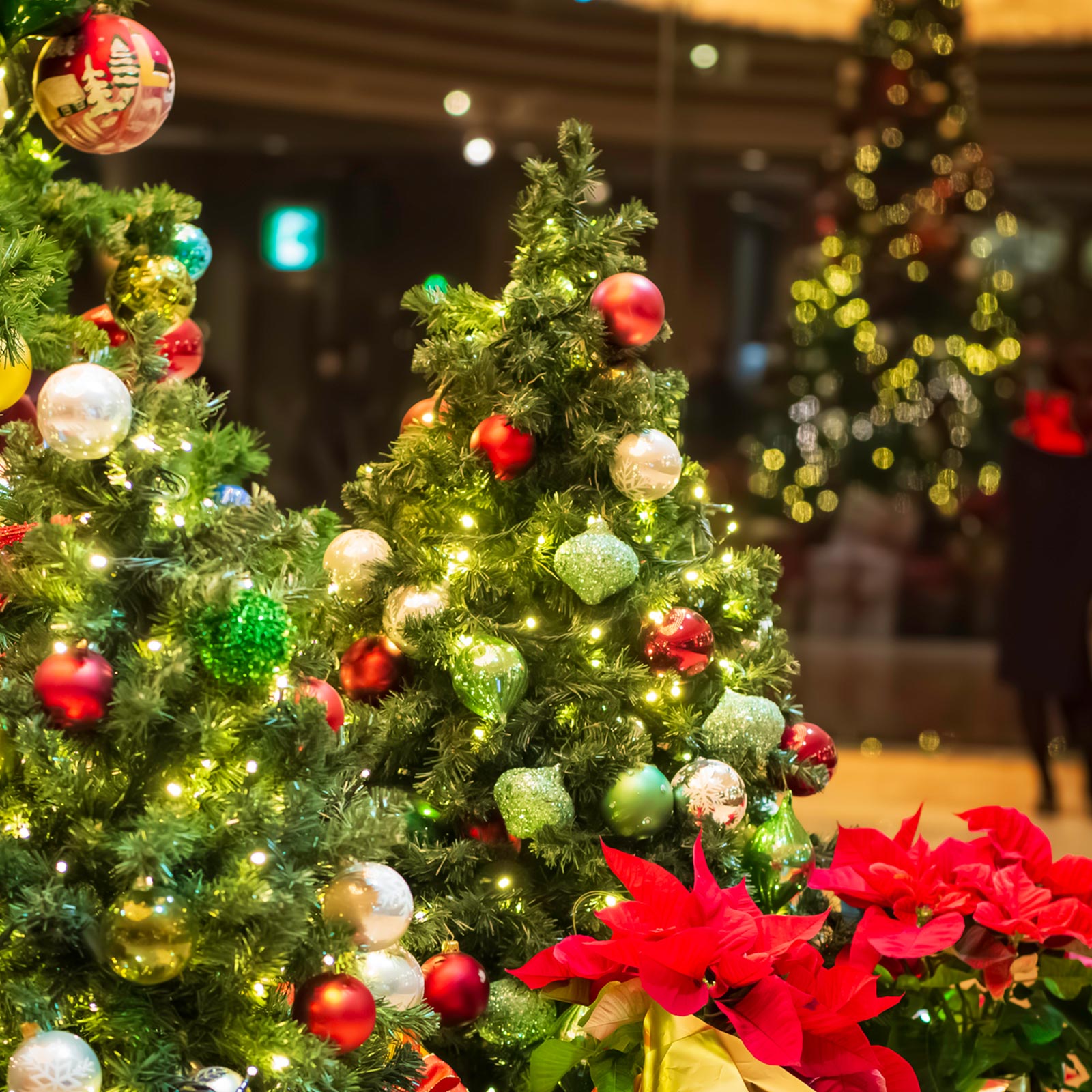 TOP - 有限会社 エム・ツー・グリーン