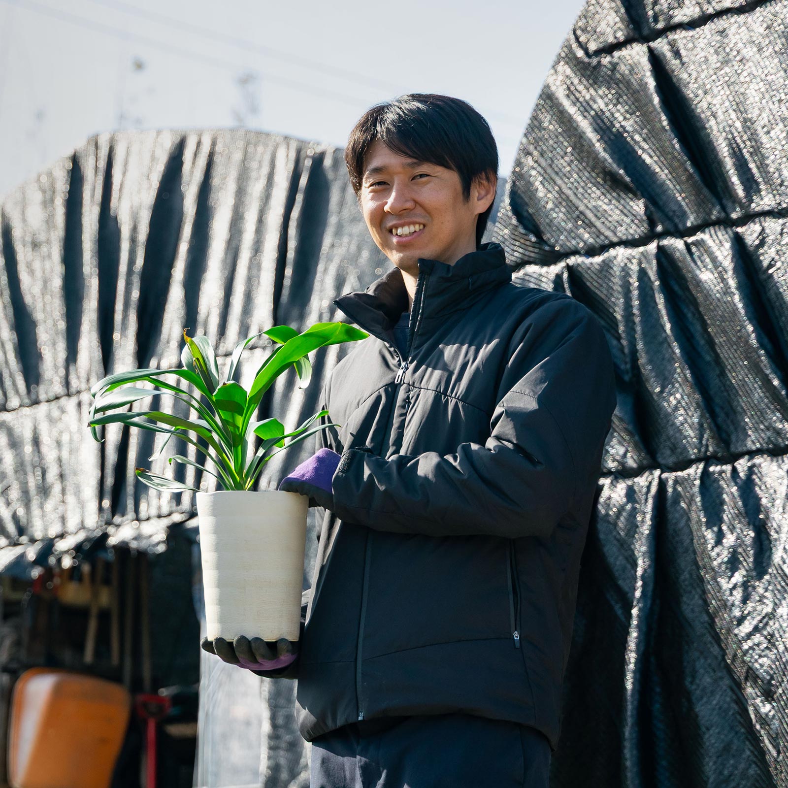 観葉植物 - 有限会社 エム・ツー・グリーン