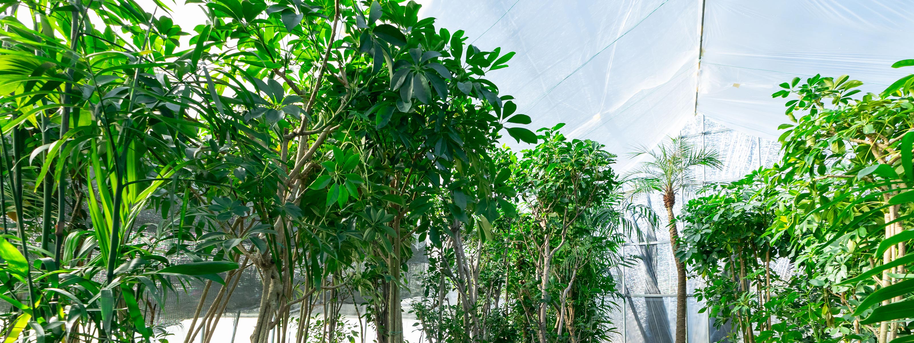 お問い合わせ - 有限会社 エム・ツー・グリーン