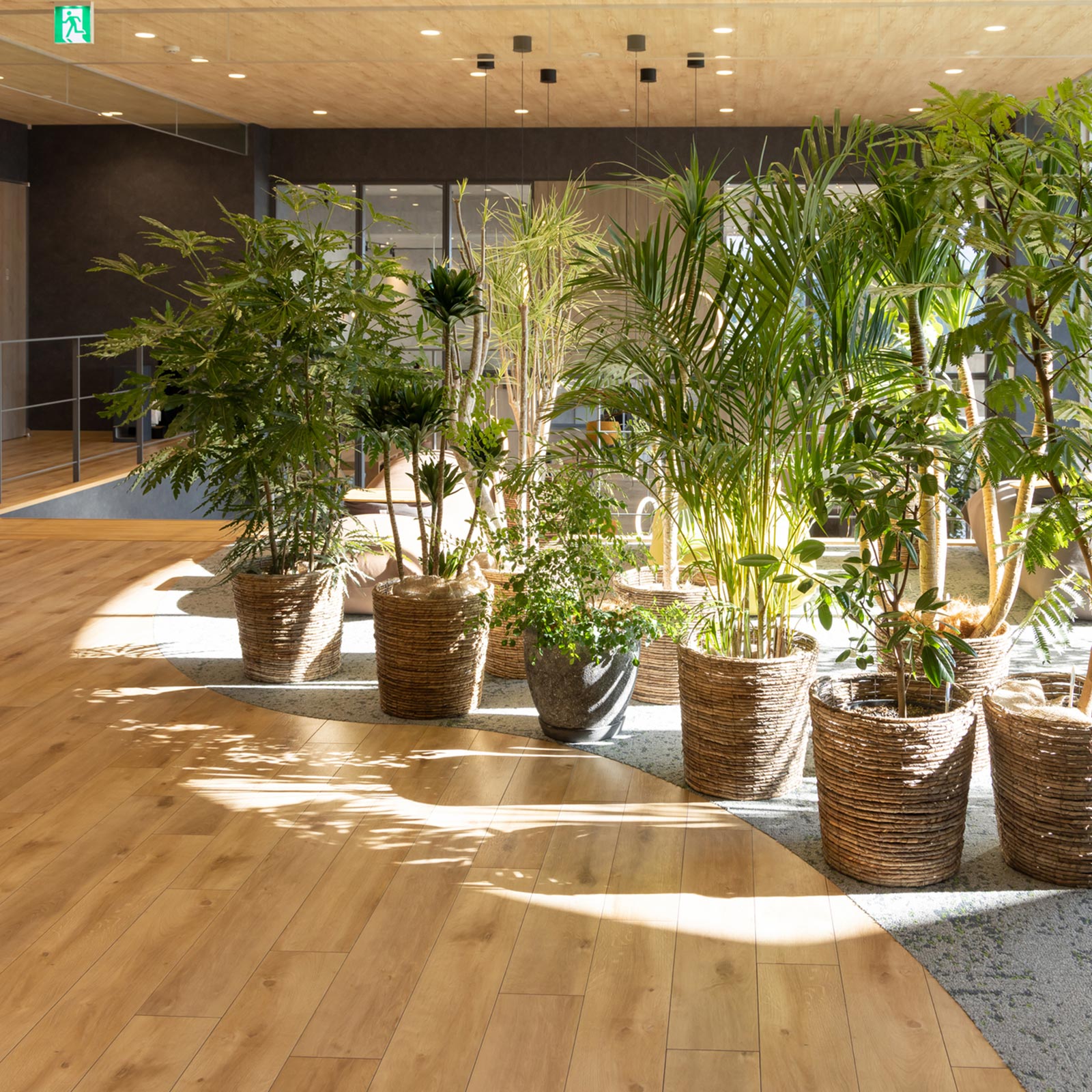 TOP - 有限会社 エム・ツー・グリーン