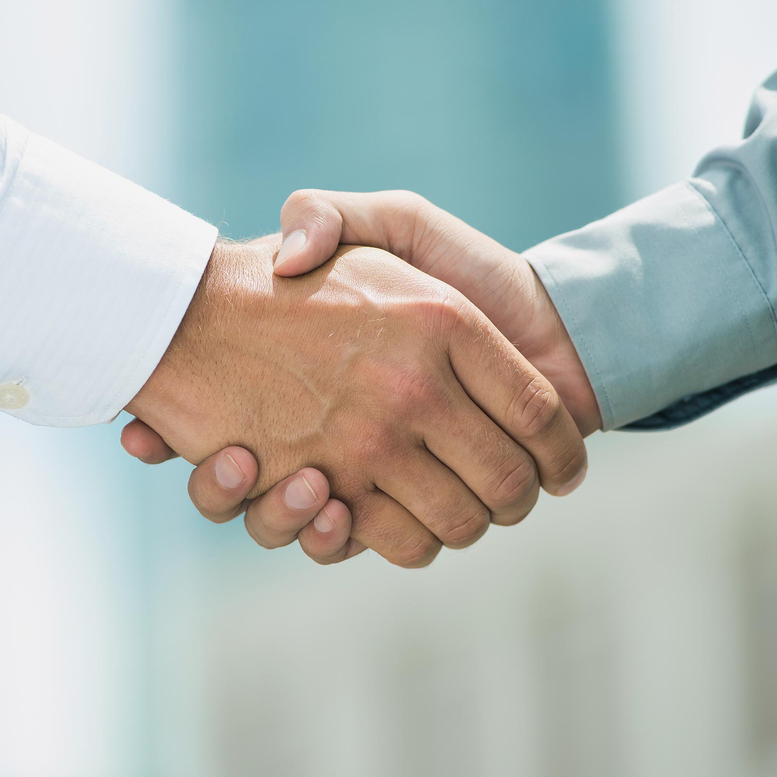 緑地伐採管理 - 株式会社緑心園