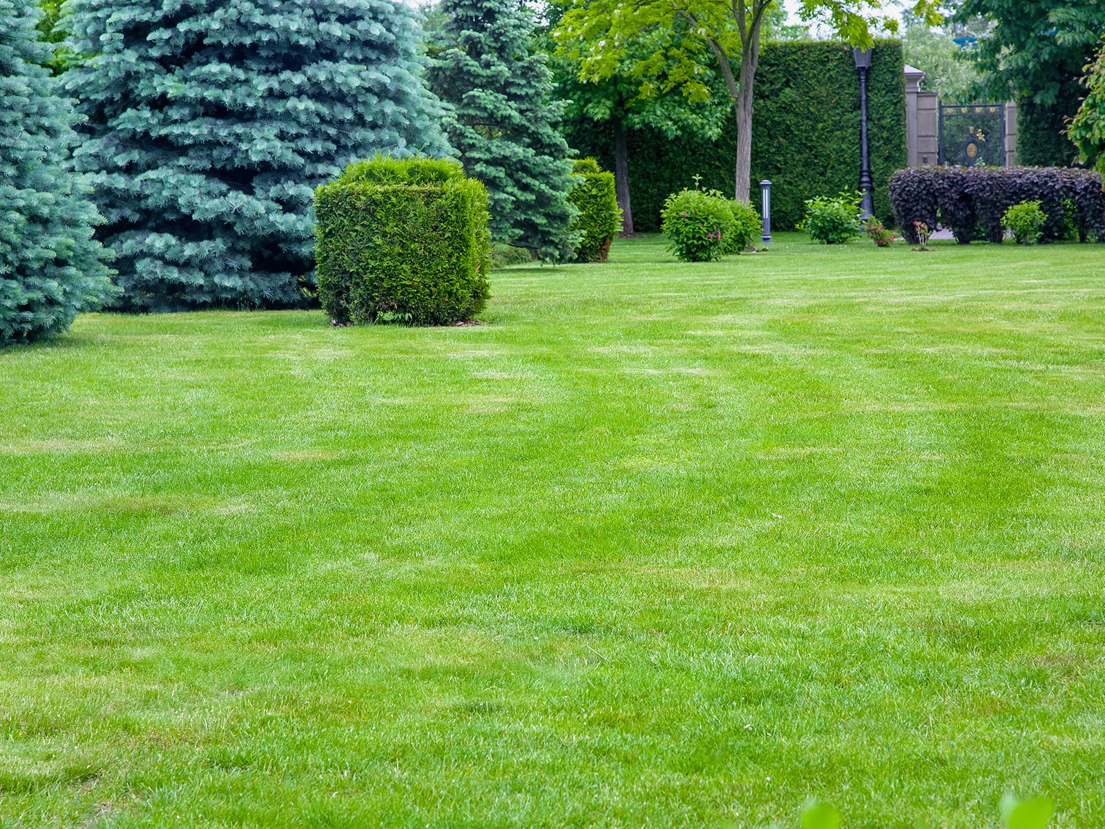 芝はり - 株式会社緑心園