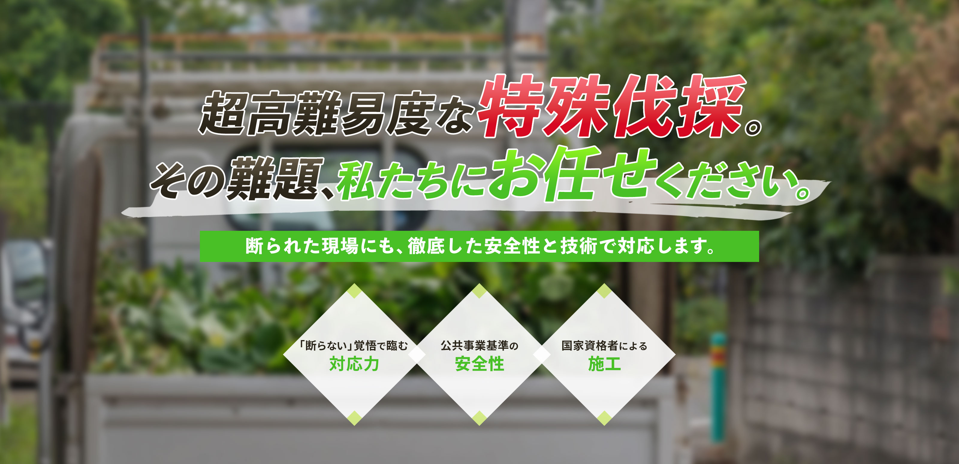 緑地伐採管理 - 株式会社緑心園