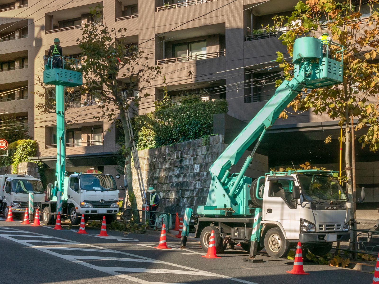 緑地伐採管理 - 株式会社緑心園