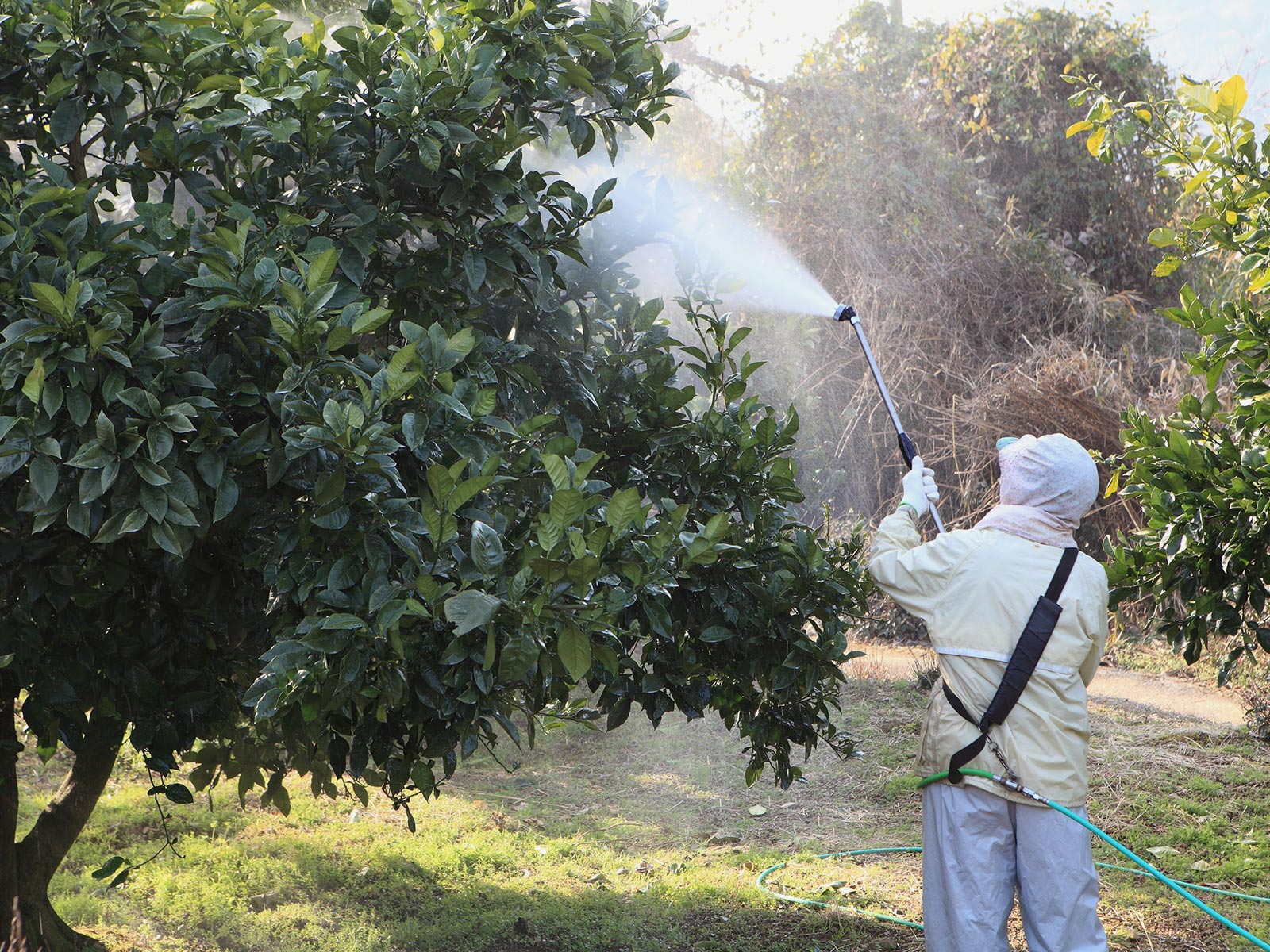 マンション向け管理 - 株式会社緑心園