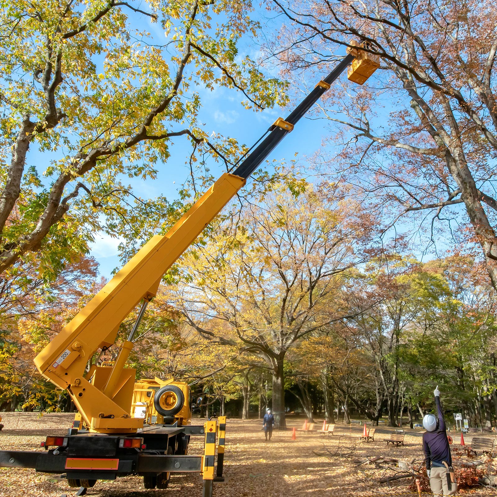 緑地伐採管理 - 株式会社緑心園