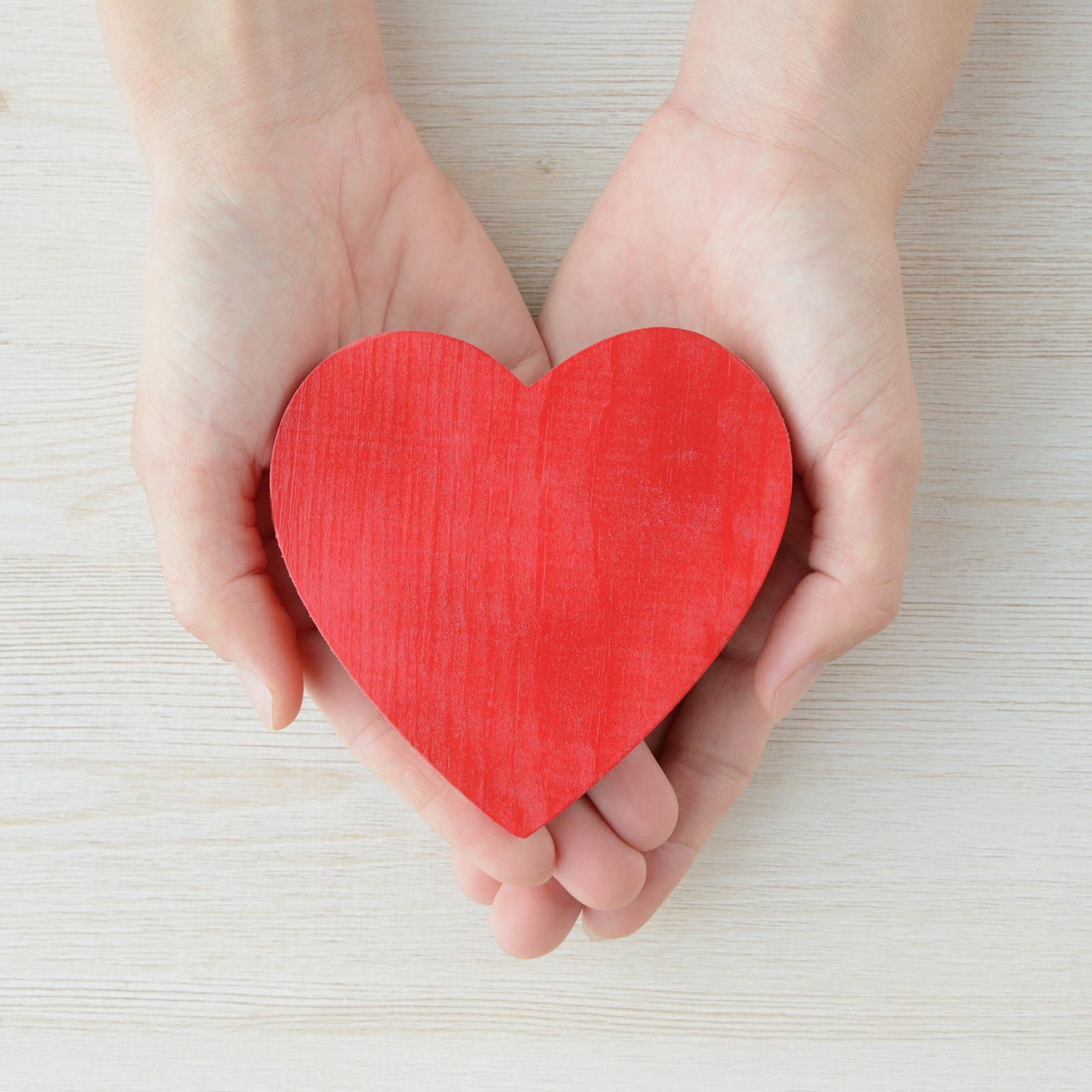 緑地伐採管理 - 株式会社緑心園