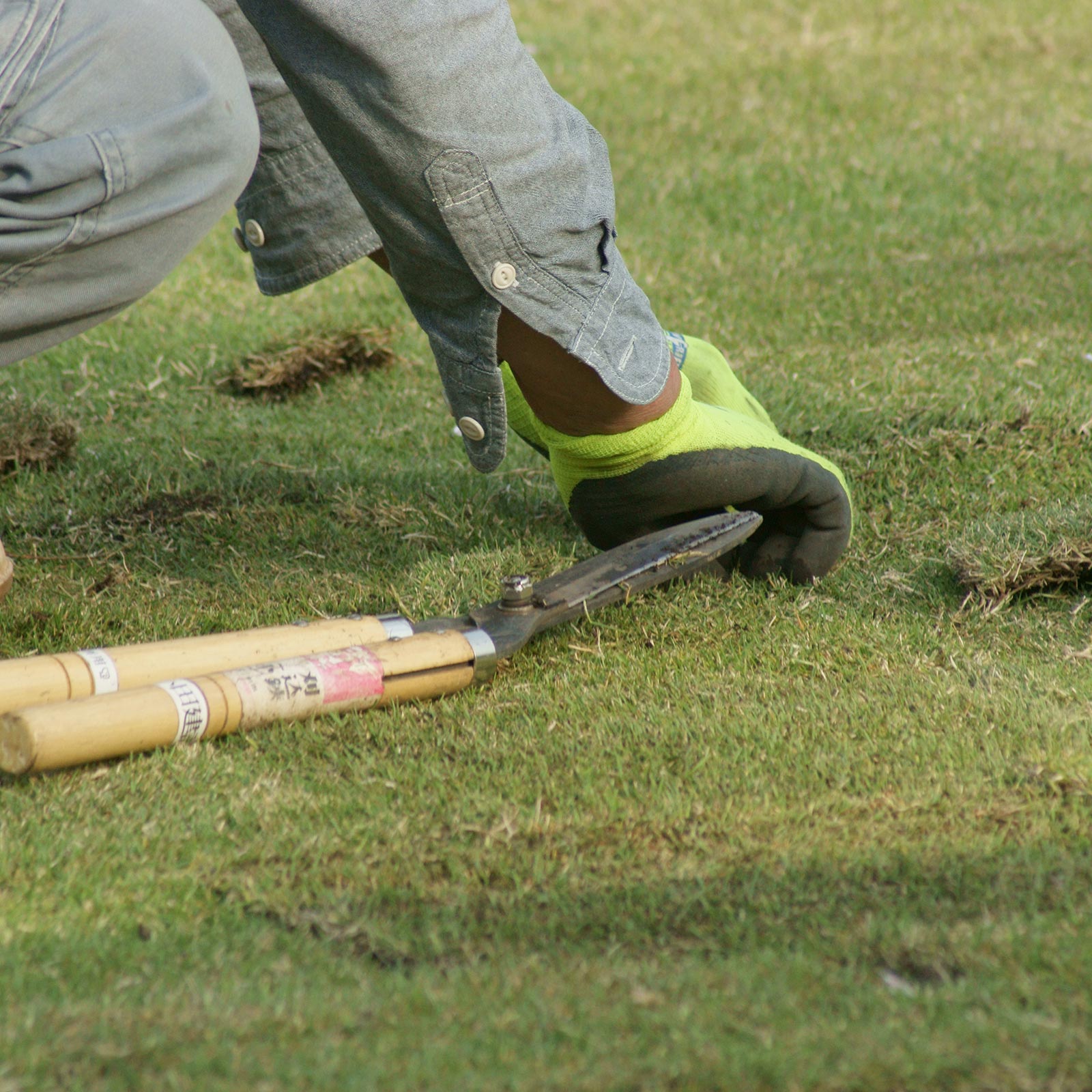 芝はり - 株式会社緑心園