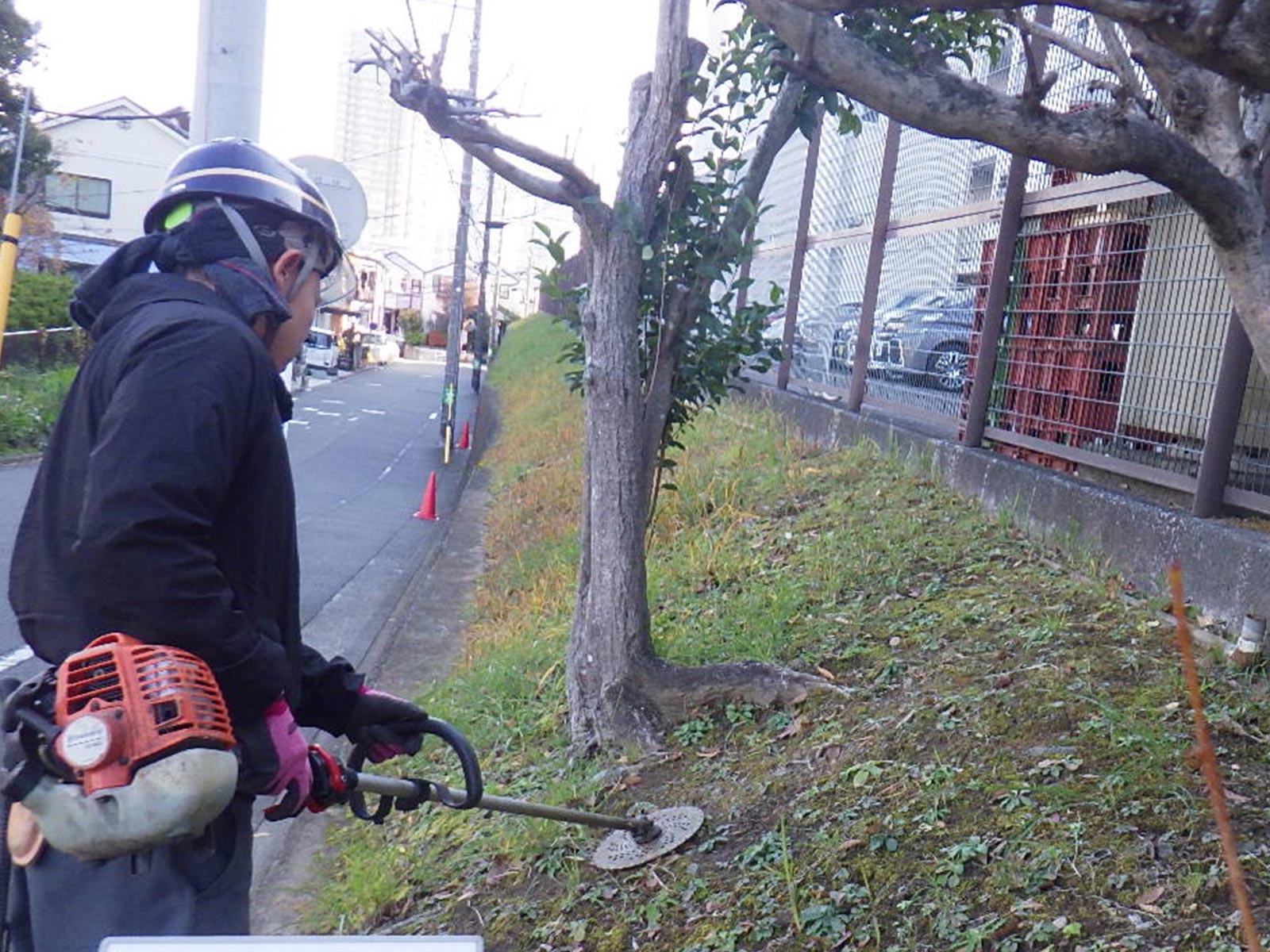 マンション向け管理 - 株式会社緑心園