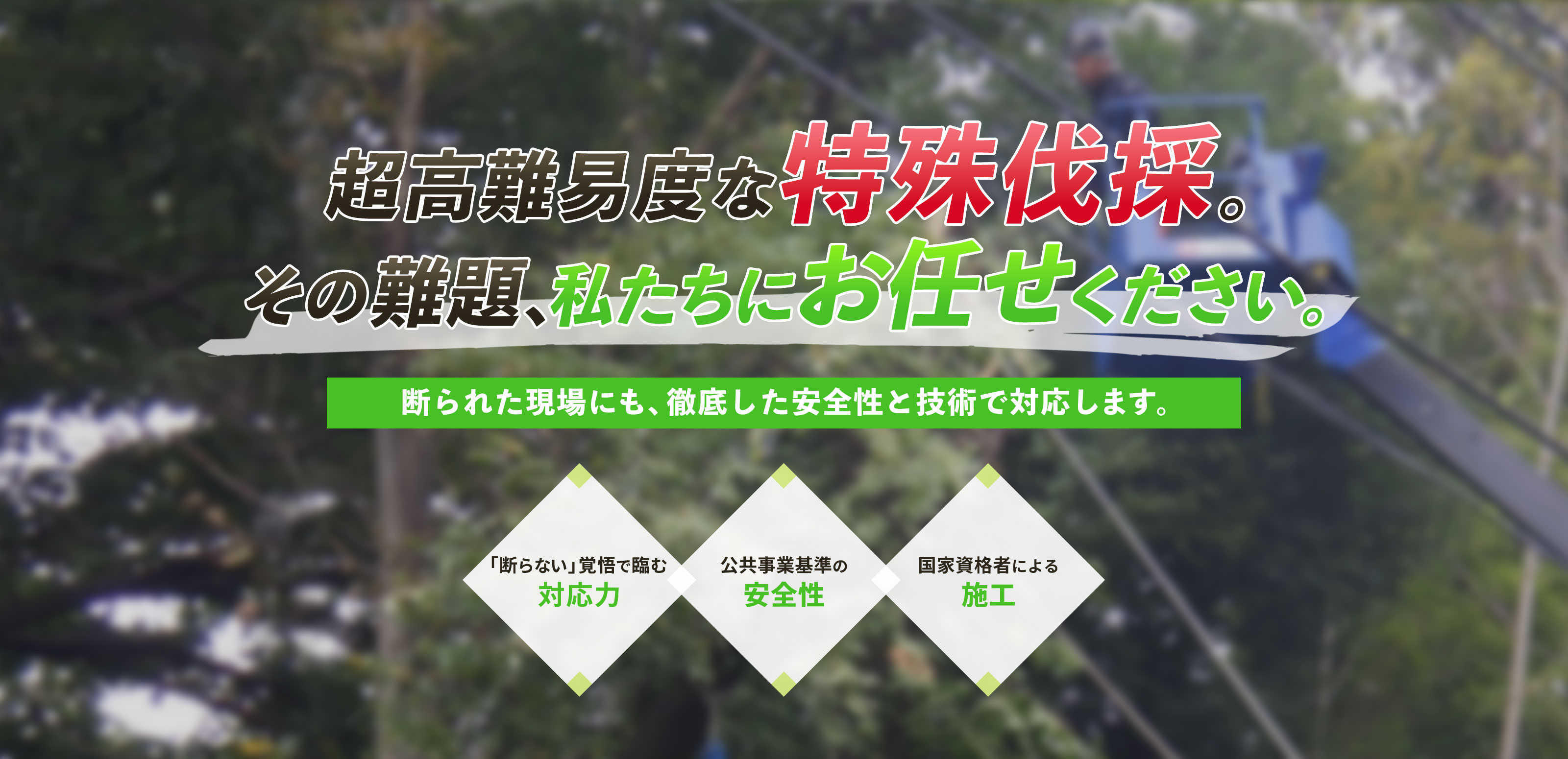 緑地伐採管理 - 株式会社緑心園