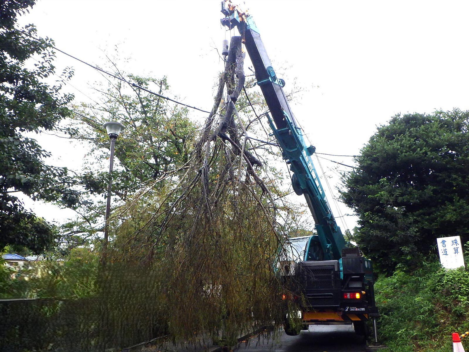 緑地伐採管理 - 株式会社緑心園