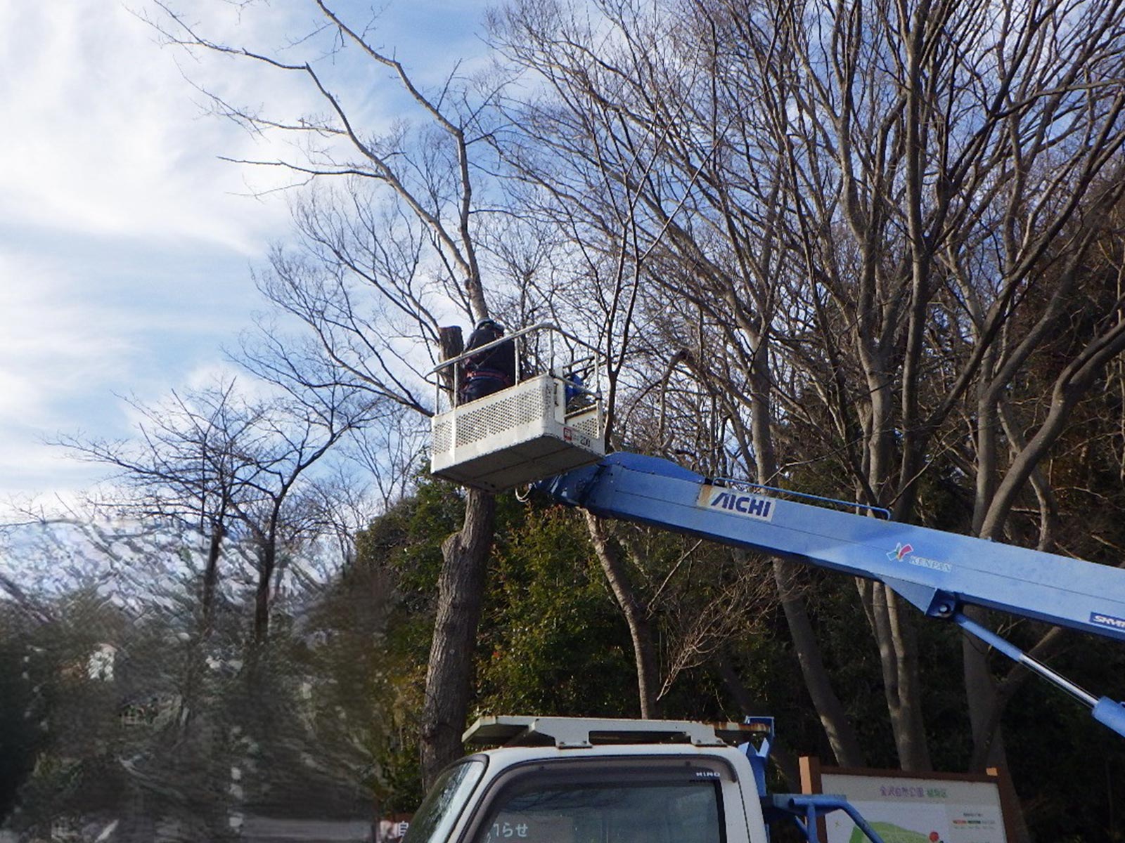 緑地伐採管理 - 株式会社緑心園