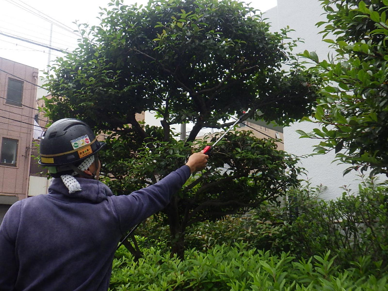 マンション向け管理 - 株式会社緑心園