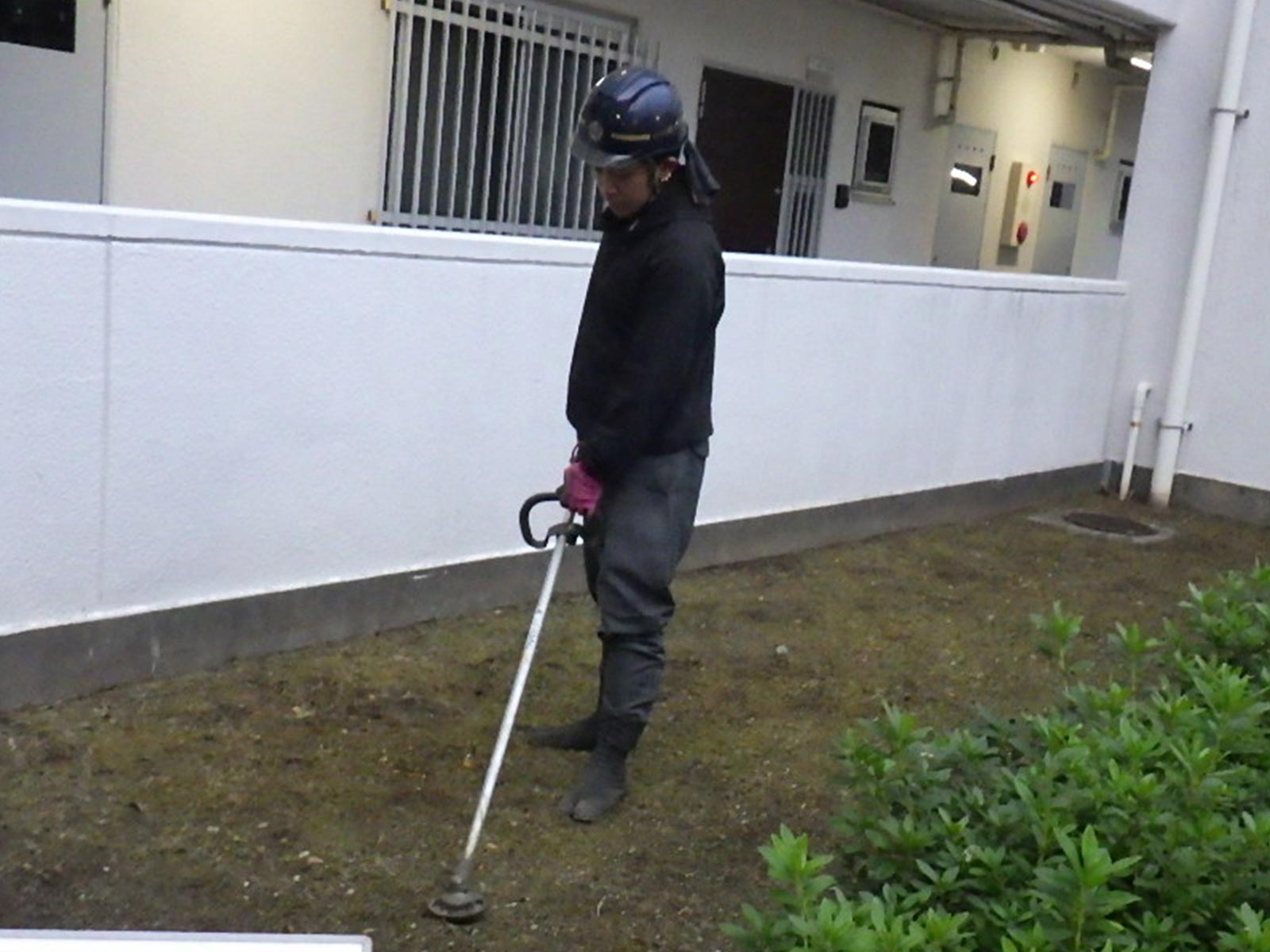 マンション向け管理 - 株式会社緑心園