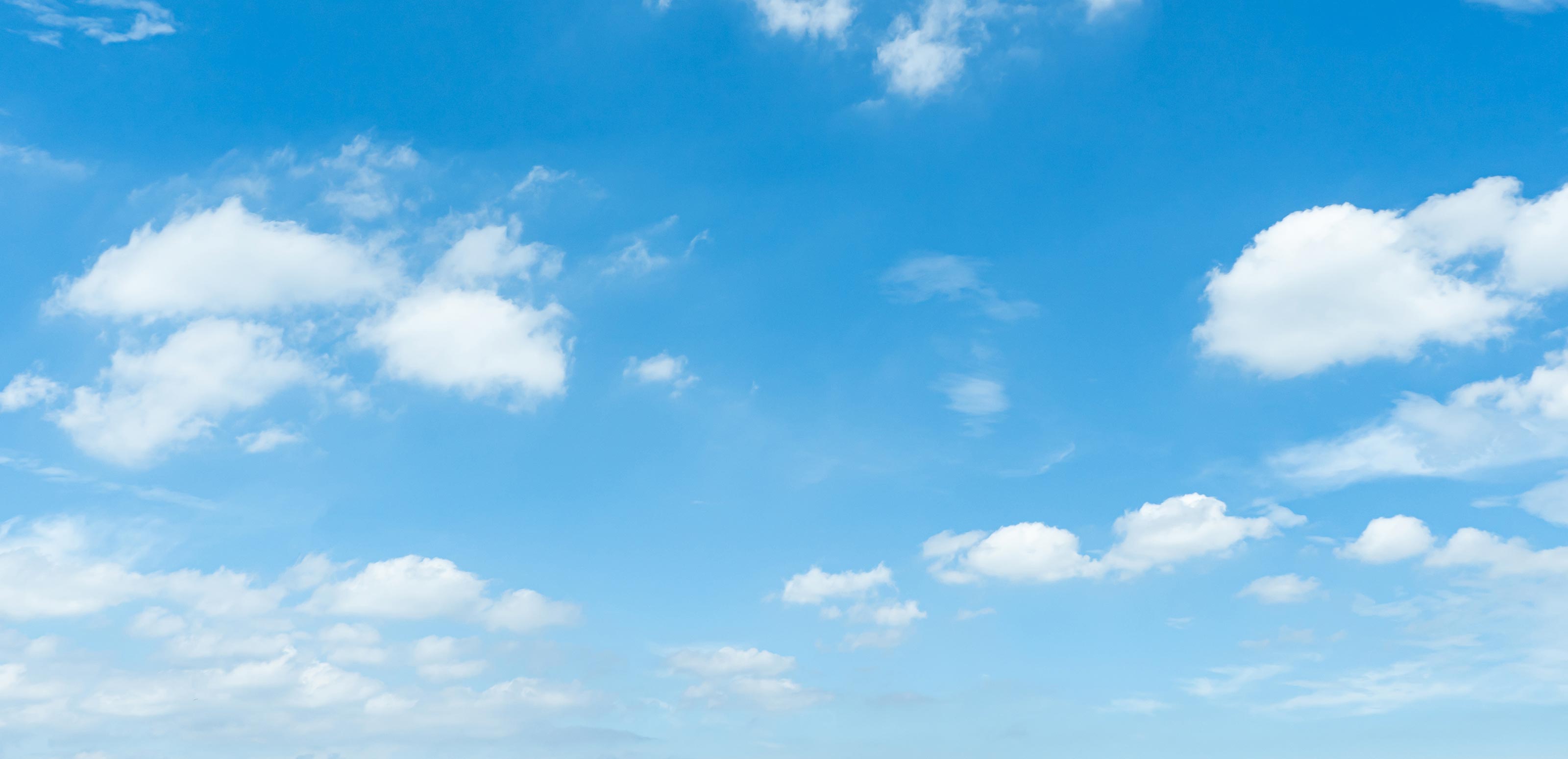 TOP - 朱雀株式会社