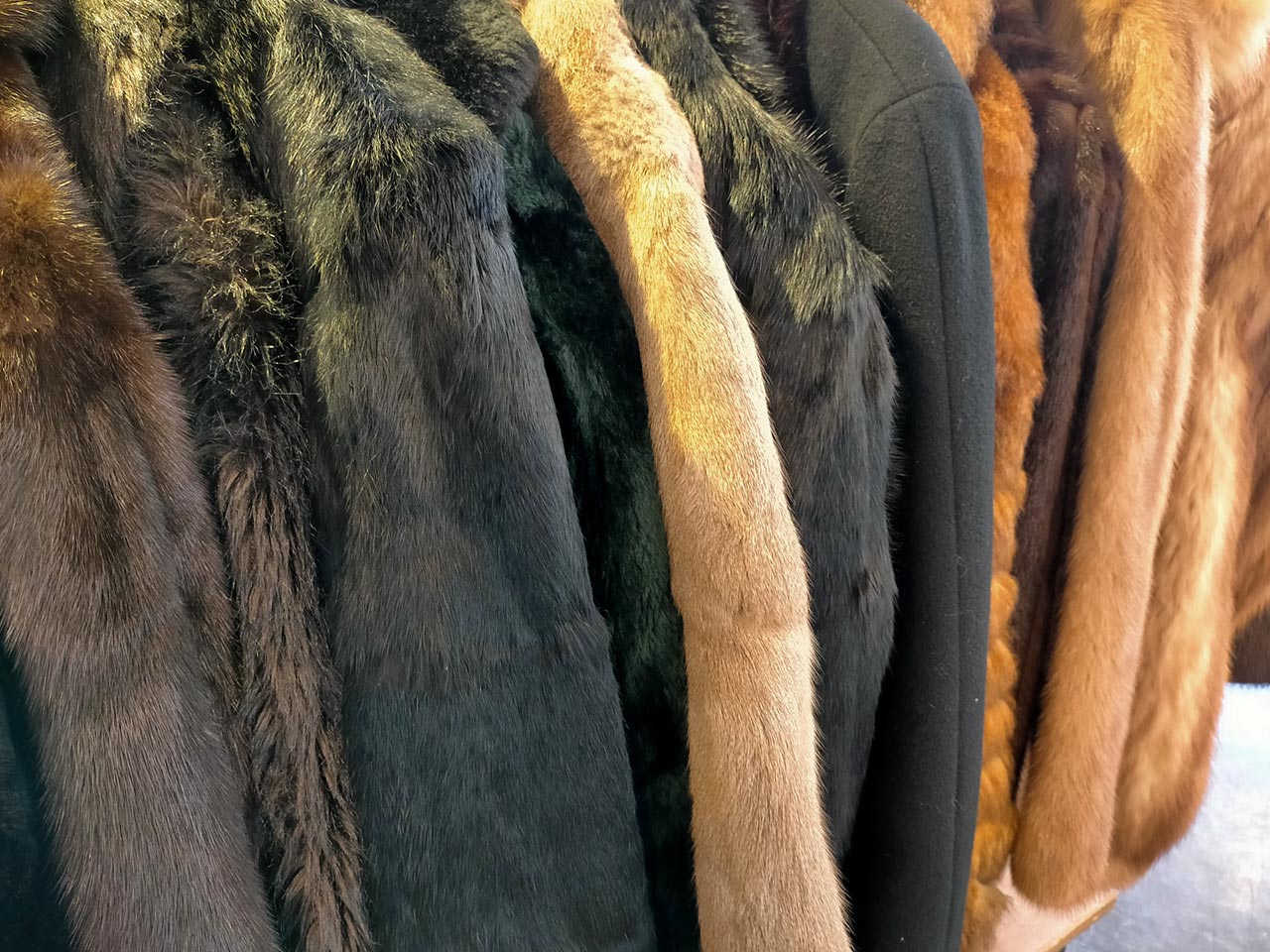 TOP - 朱雀株式会社