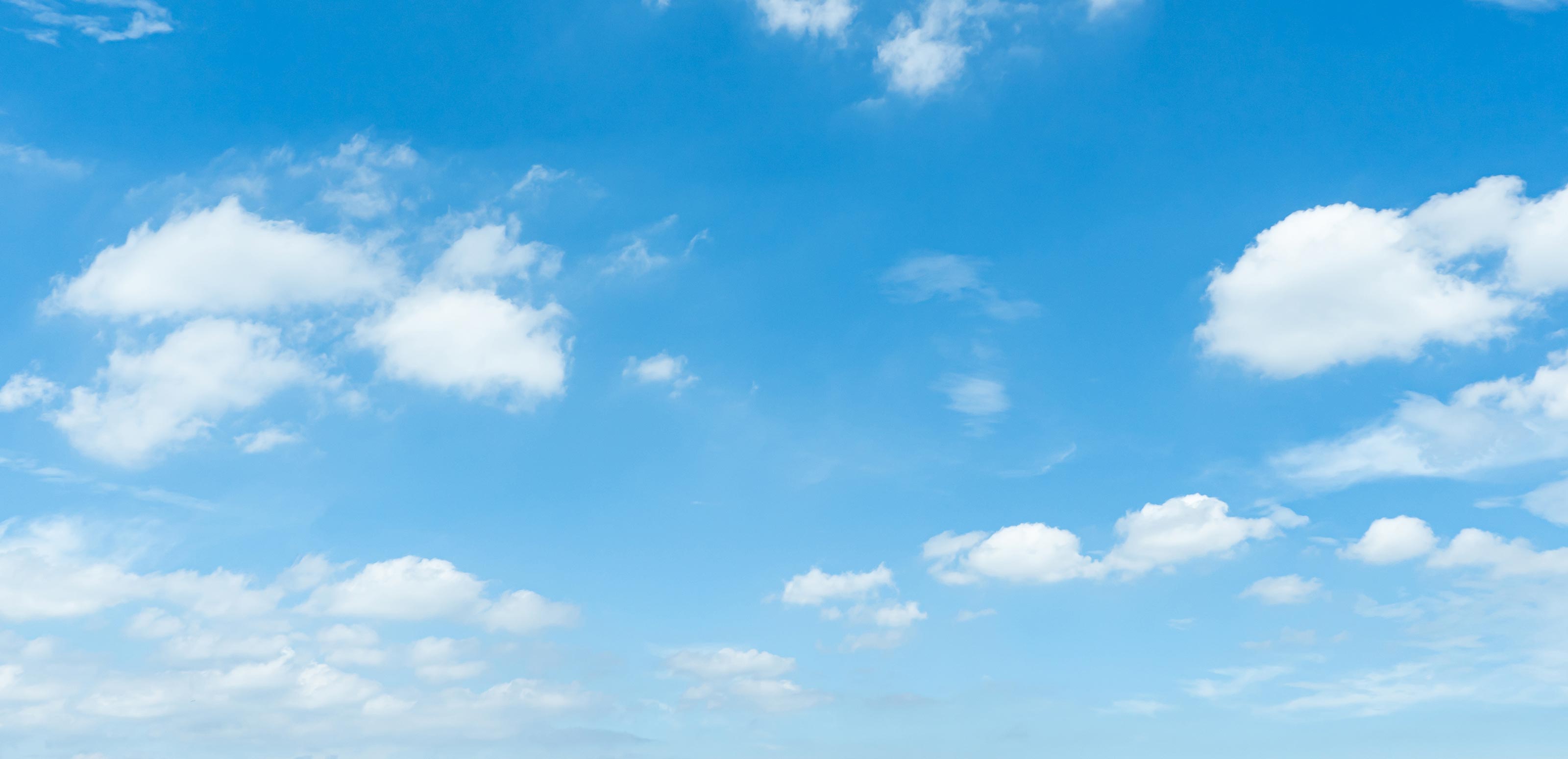 朱雀株式会社について - 朱雀株式会社