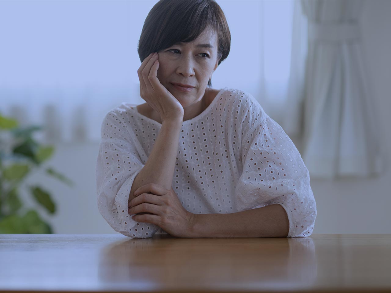 Re:Suzaku - 朱雀株式会社