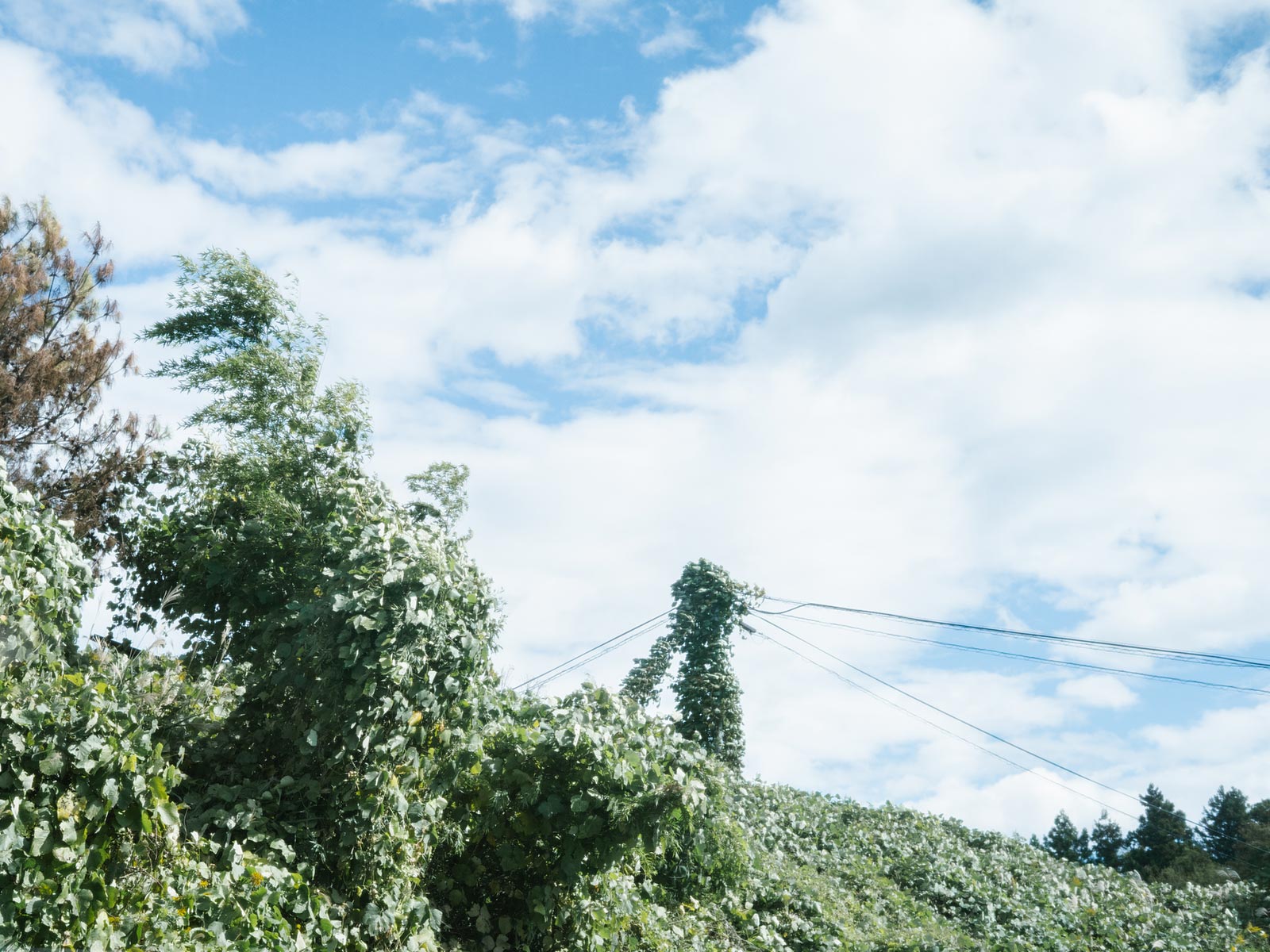 塗装 - 有限会社丹野塗装