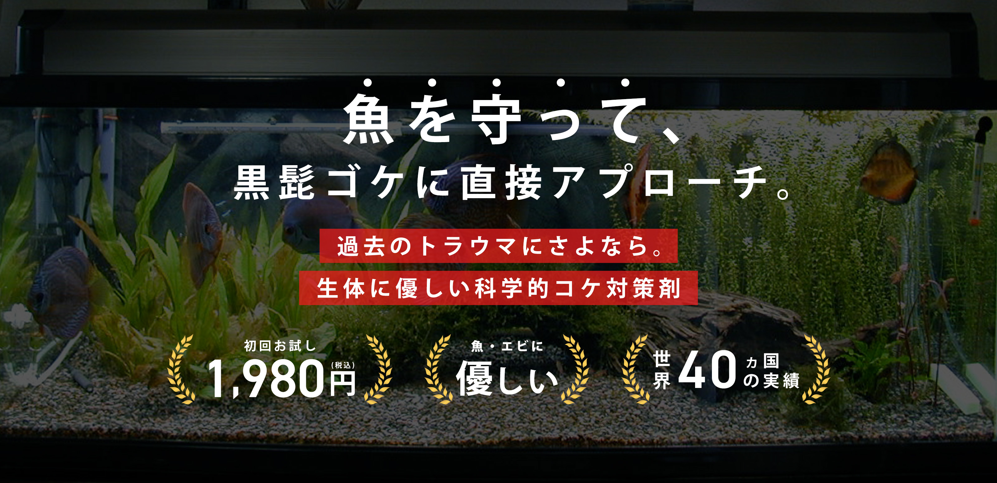 アクアリウム用品 - THE 2HR AQUARIST JAPAN