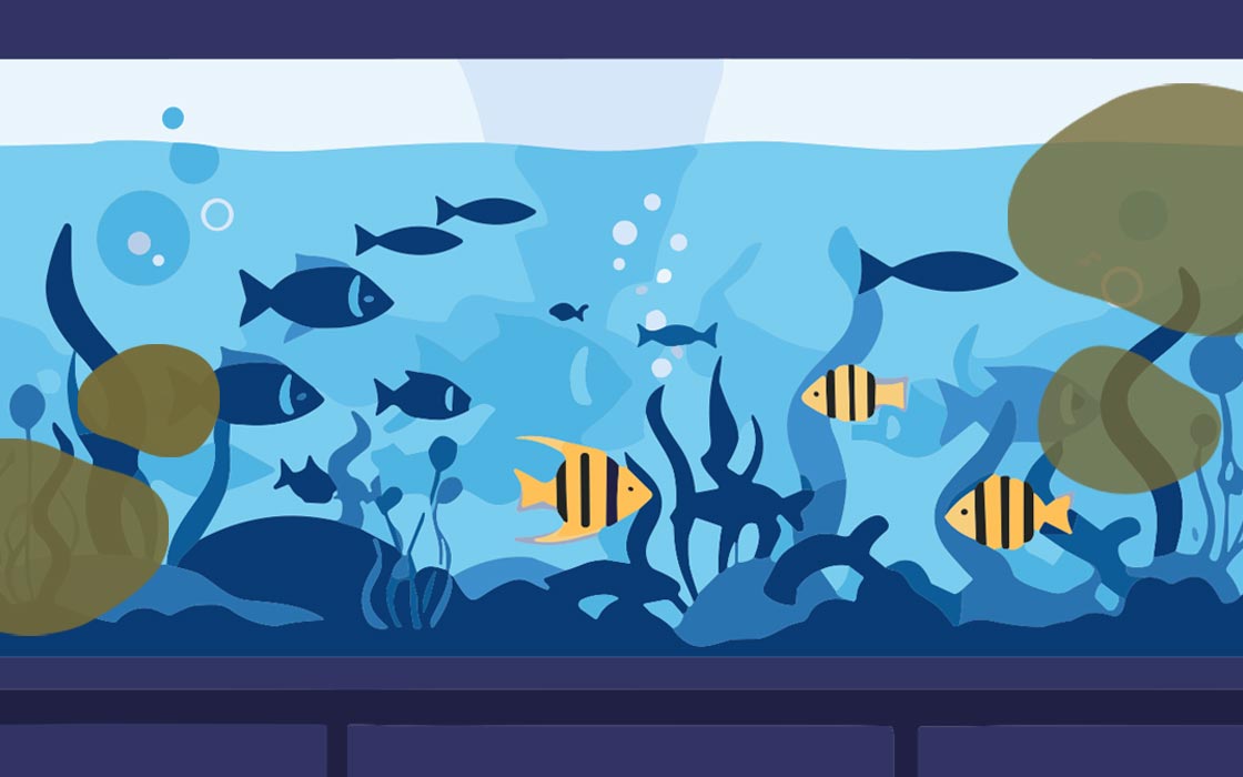 アクアリウム用品 - THE 2HR AQUARIST JAPAN