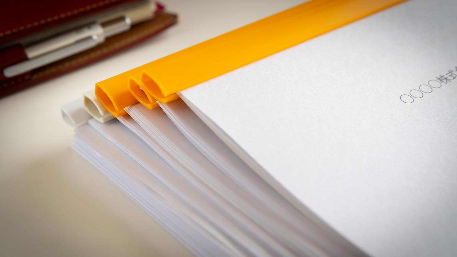 動画製作(ライト版) - VIVA RYUKYU