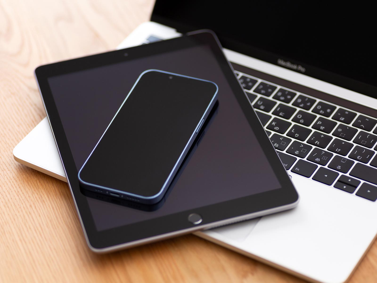 動画製作(ライト版) - VIVA RYUKYU