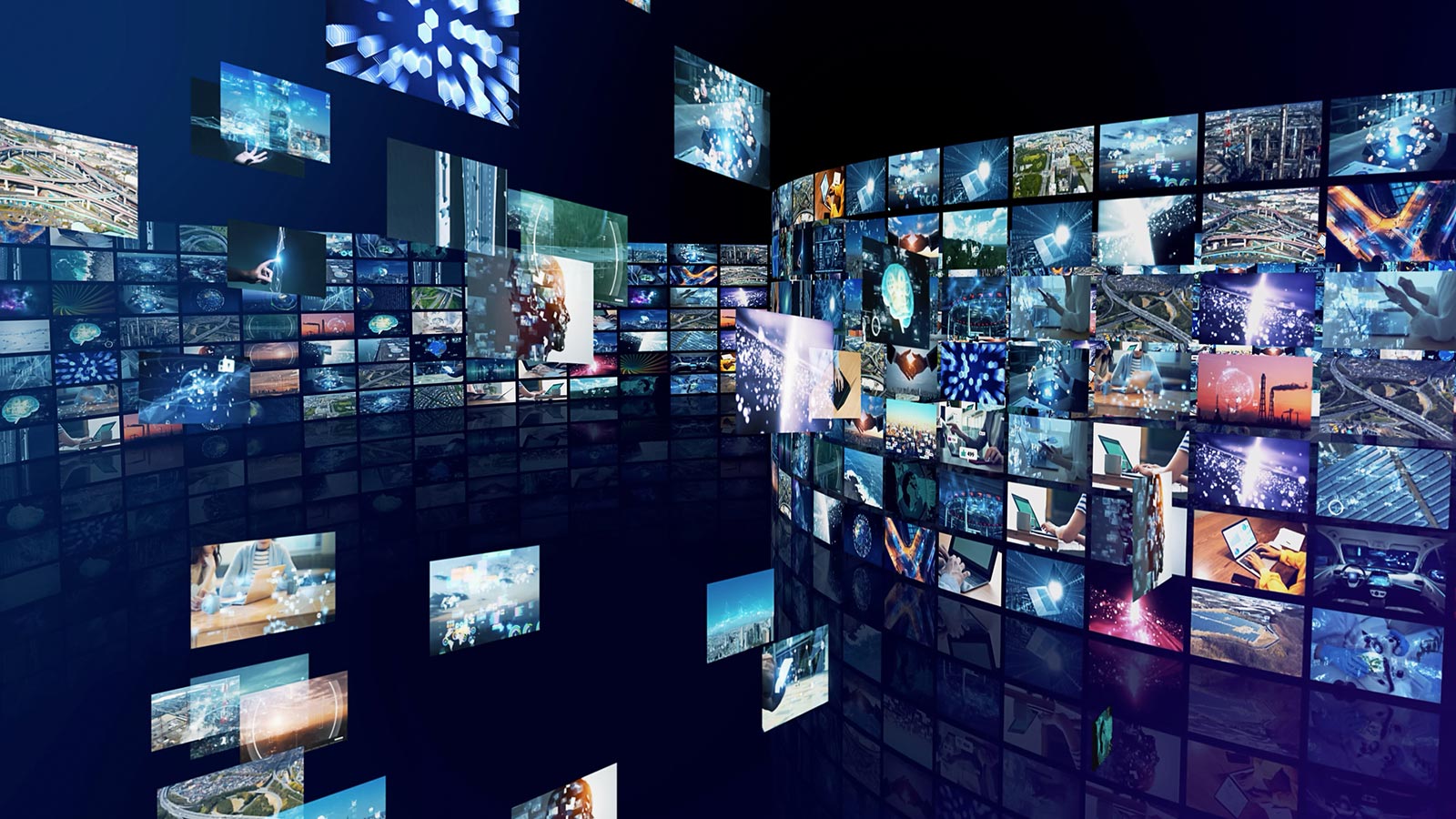 動画製作(ライト版) - VIVA RYUKYU