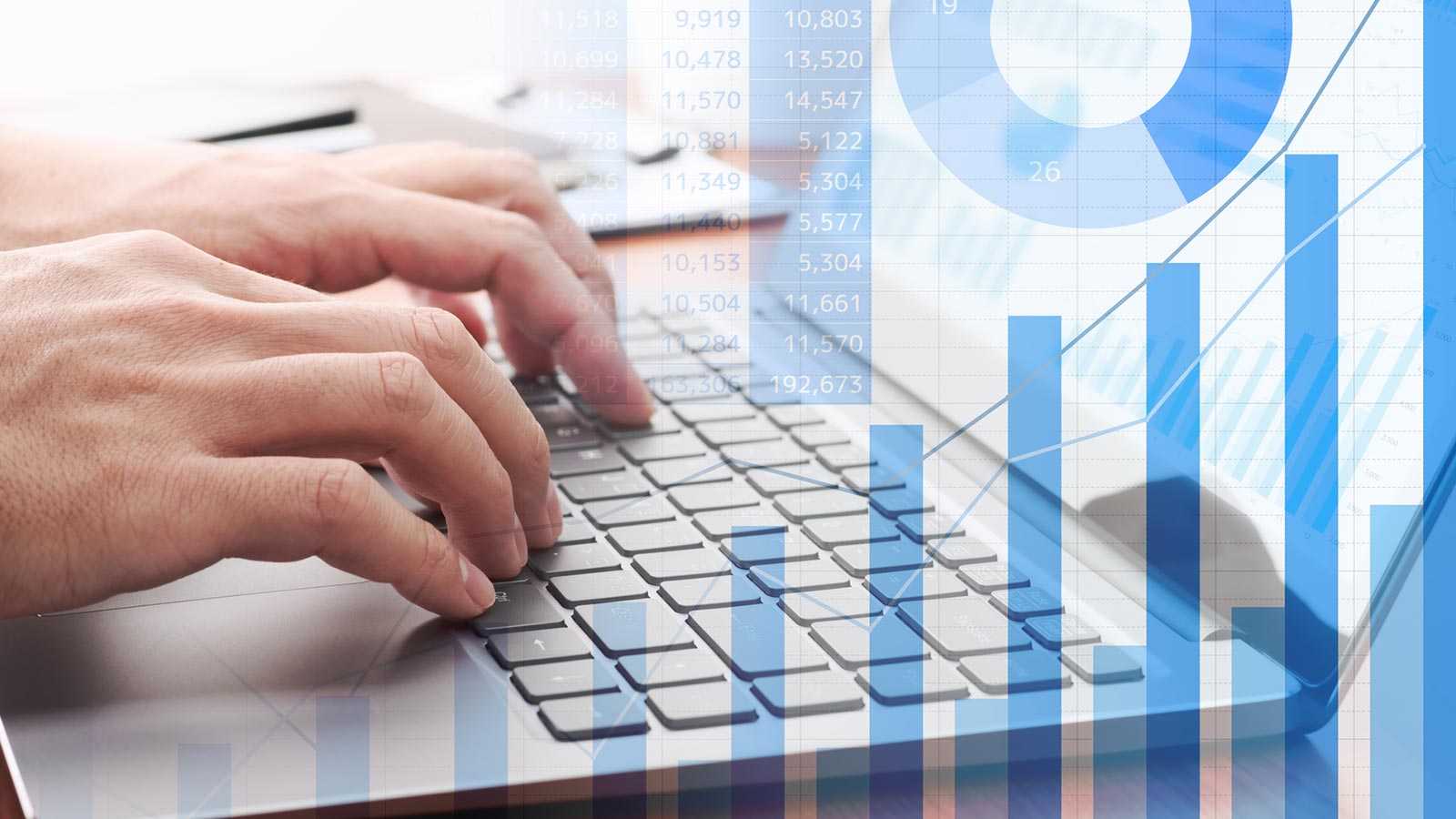 動画製作(ライト版) - VIVA RYUKYU