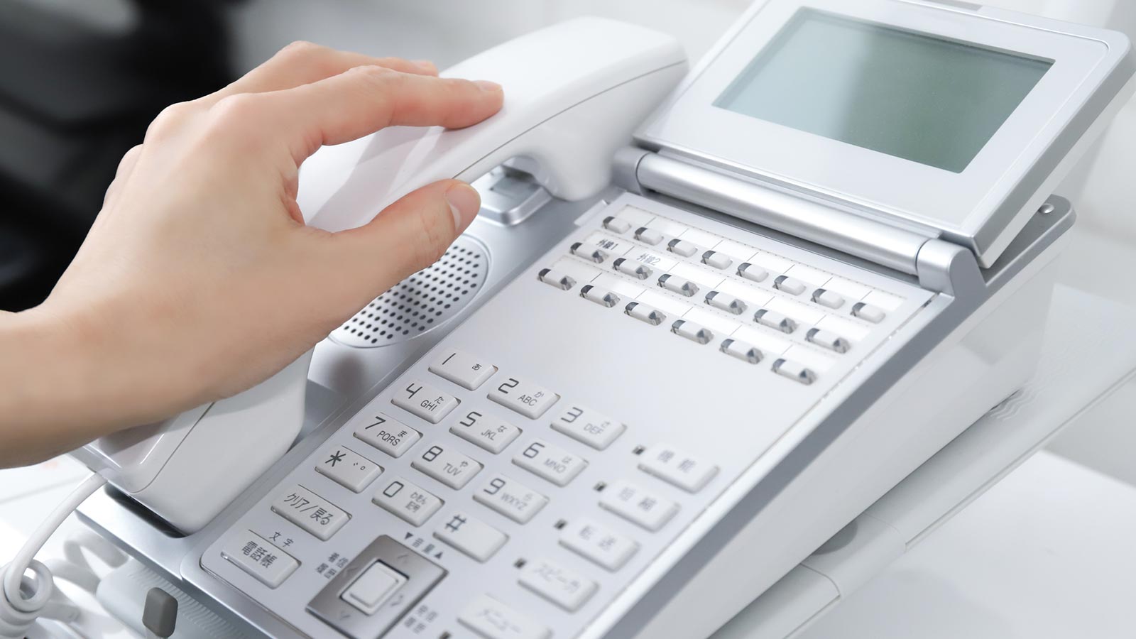 動画製作(ライト版) - VIVA RYUKYU