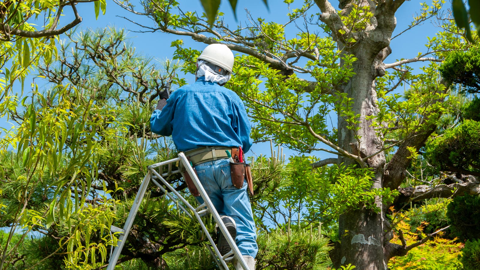 伐採、剪定、草刈り - E庭工房宮崎