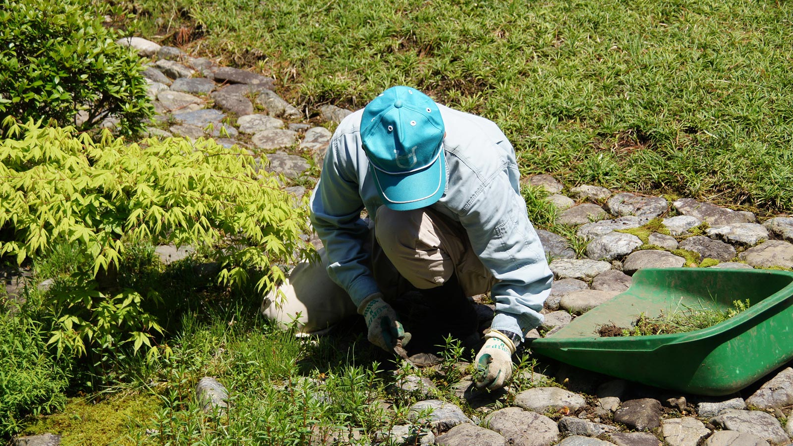 伐採、剪定、草刈り - E庭工房宮崎