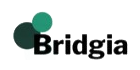 Bridgia合同会社