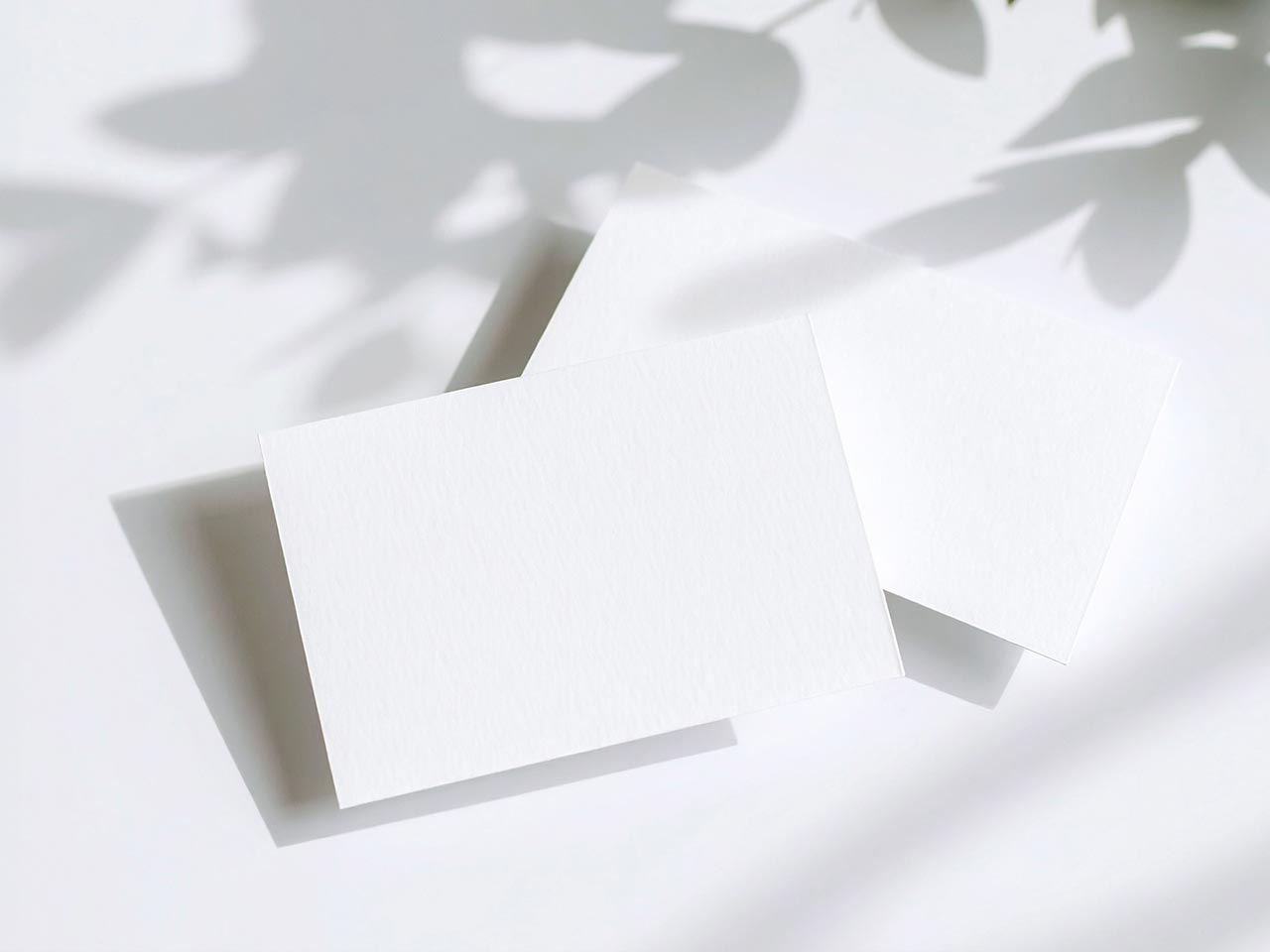 デザインサービス - coiatomomaya