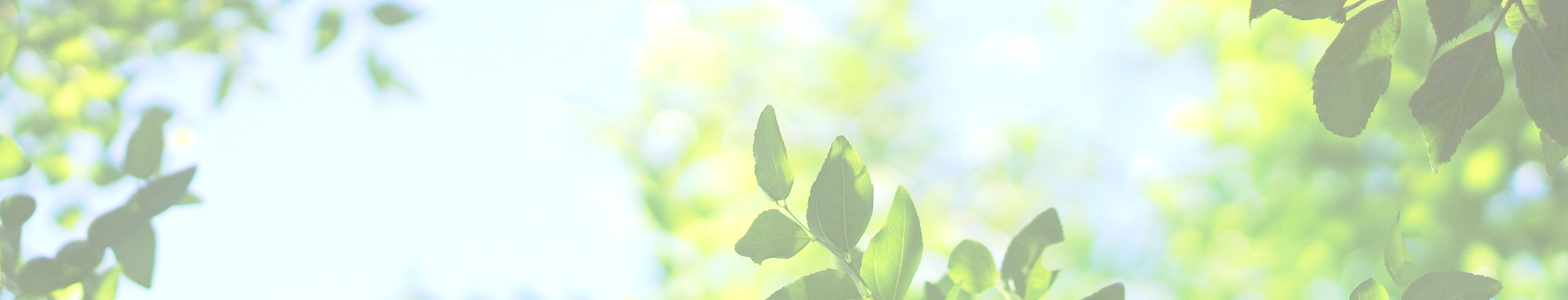 企業概要 - 合同会社オフィスWAD