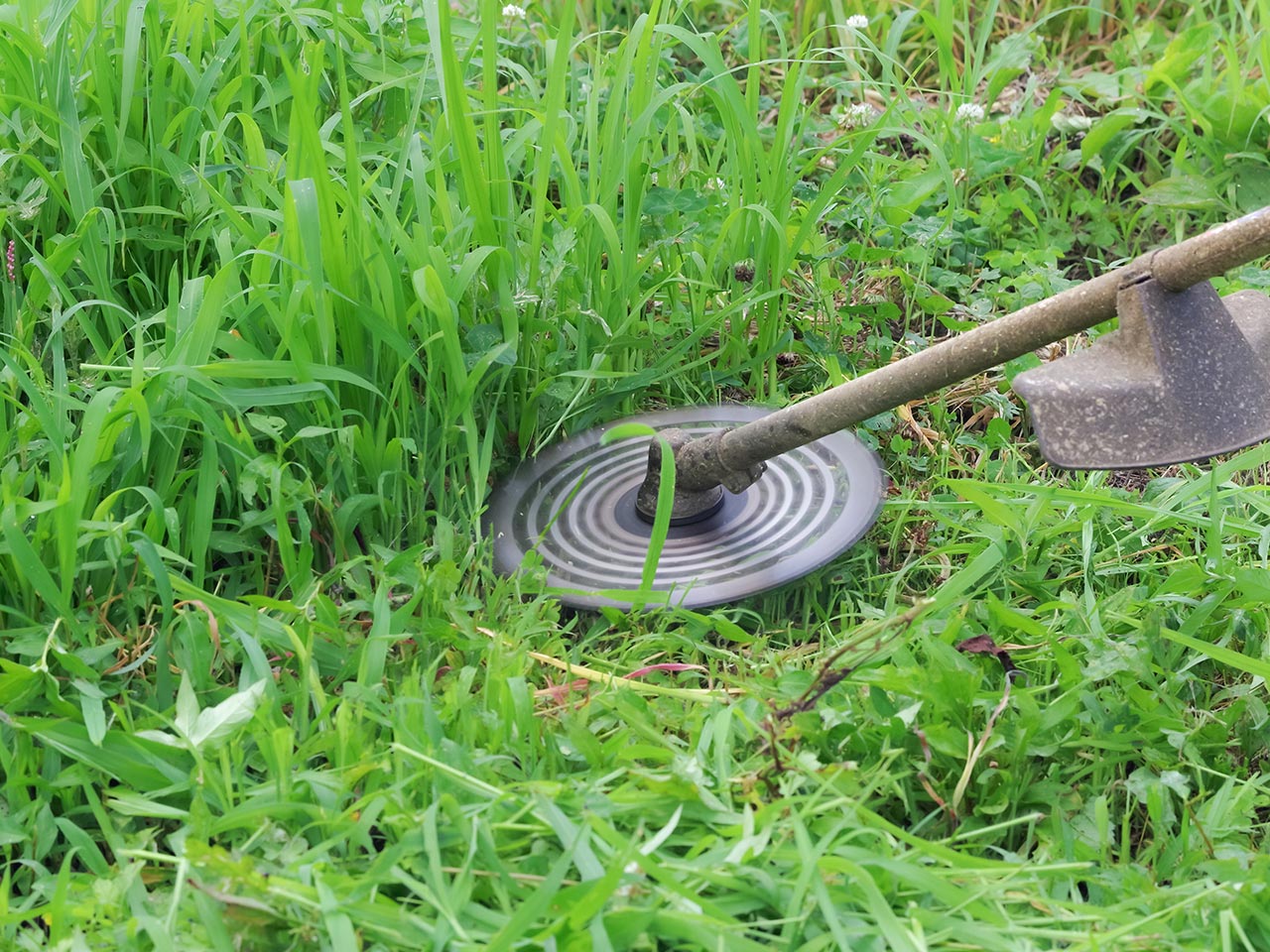 遺品整理・不用品回収 - 便利屋大阿久商店