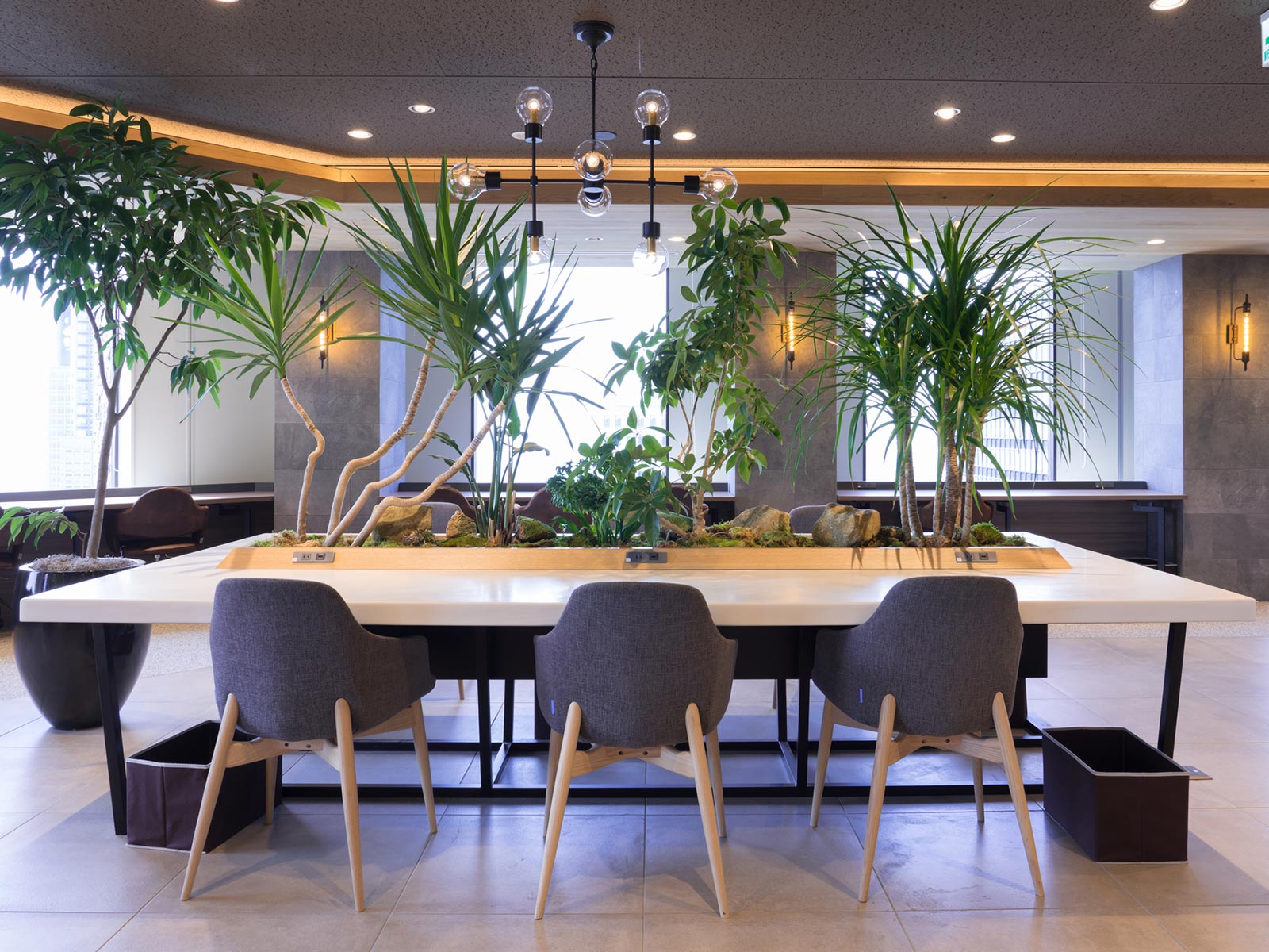 植栽管理・植物リース - 株式会社 MY GREEN