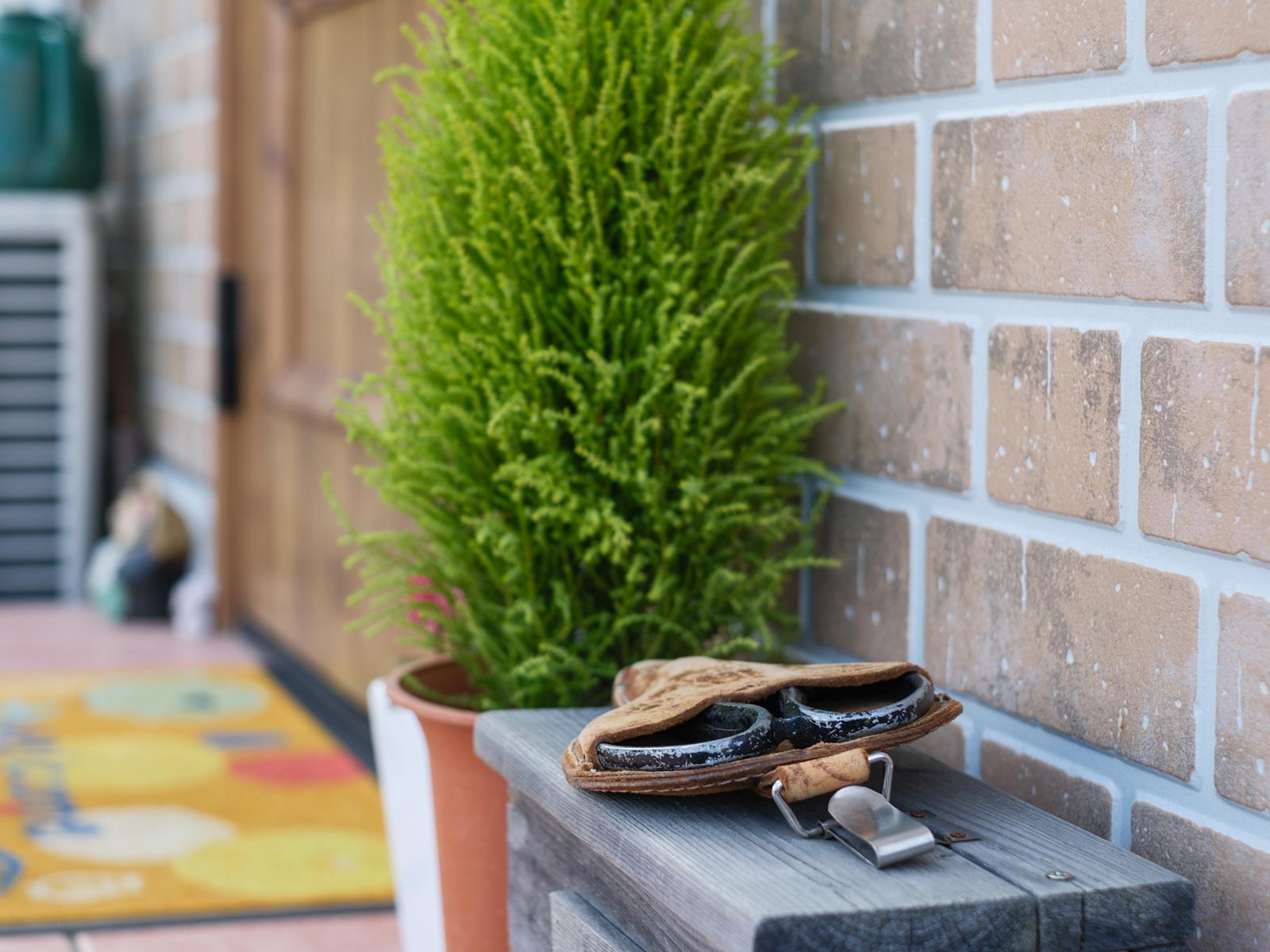 植栽管理・植物リース - 株式会社 MY GREEN