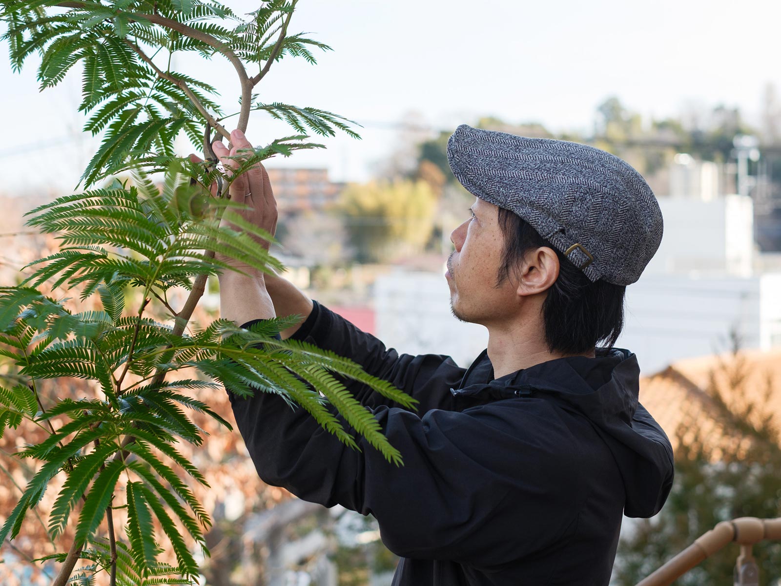 植栽管理・植物リース - 株式会社 MY GREEN