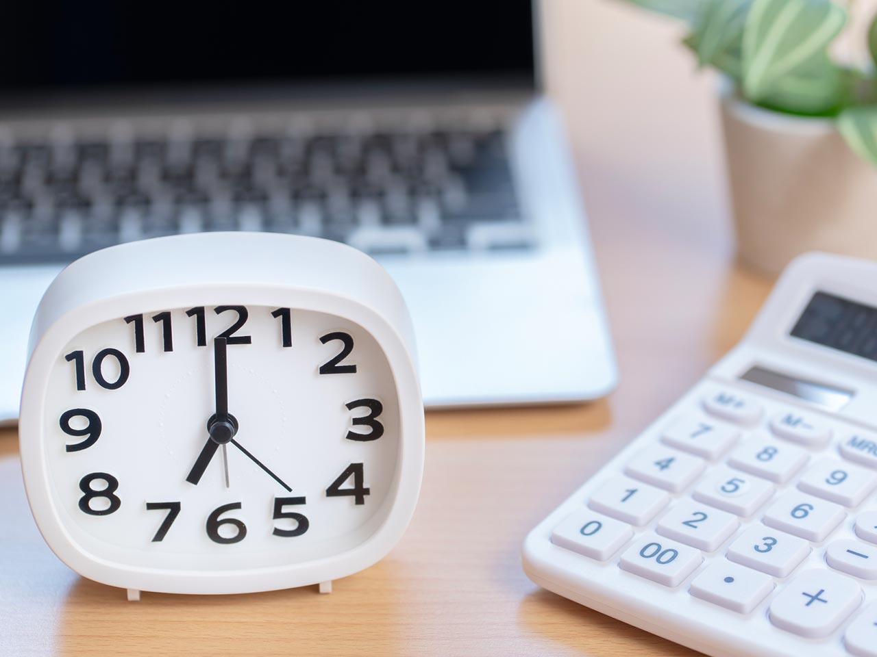 事業内容 - 株式会社 FORTUNA