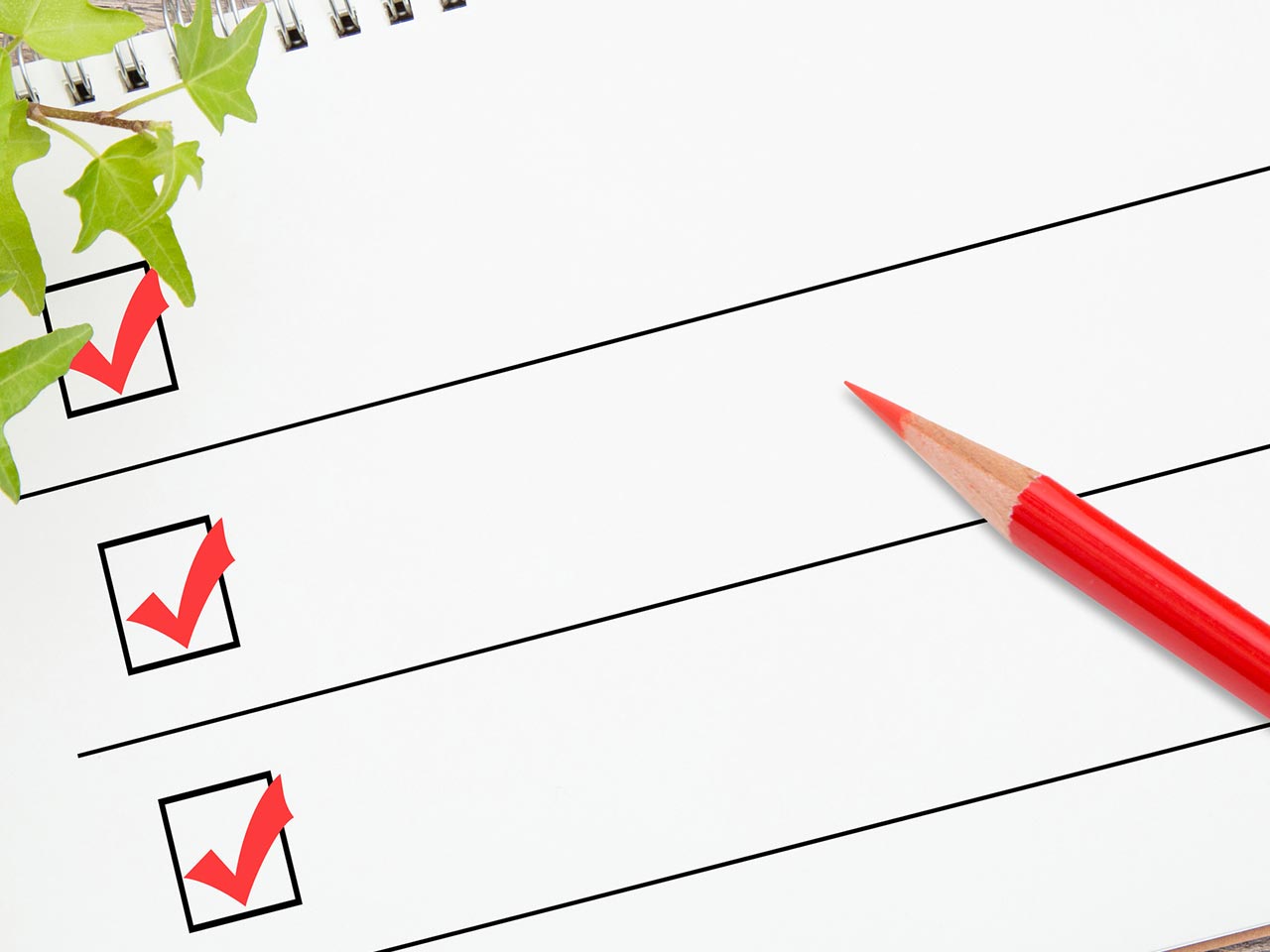 事業内容 - 株式会社 FORTUNA