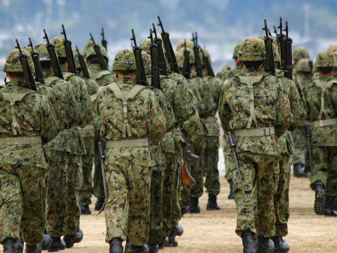 企業情報 - 株式会社 FORTUNA